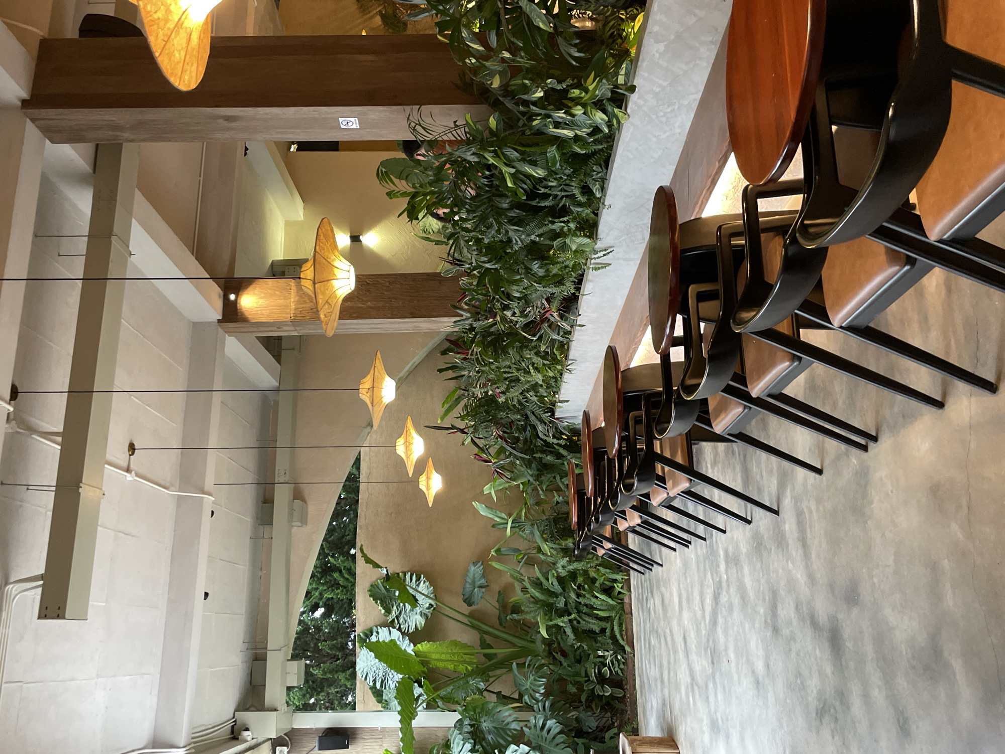 The image shows an outdoor seating area of a cafe in Da Lat, Vietnam. The seating area features rows of dark-colored chairs with brown seats arranged around round wooden tables. The tables are placed along a concrete bench that runs parallel to a wall covered in lush green plants. The plants range from large-leafed varieties to smaller ferns, creating a dense, tropical atmosphere. Above the seating area, several pendant lights with woven, conical shades hang from the ceiling. The ceiling is supported by concrete beams and wooden pillars, with exposed conduit and wiring visible. In the background, a sandy-colored wall forms the backdrop for the plants. The flooring is a polished concrete. The overall scene suggests a relaxed and inviting ambiance, characteristic of cafes in Da Lat, a city known for its cool climate and abundant greenery.