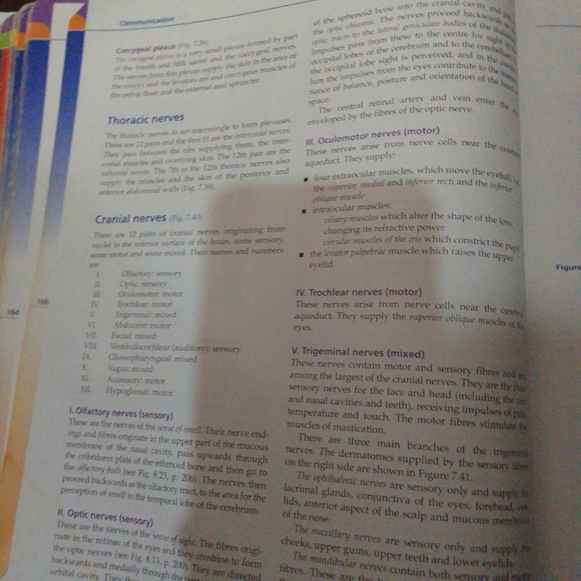 The image is a close-up of a page from a textbook, focusing on the anatomical and physiological descriptions of the human nervous system. The page is predominantly filled with text, arranged in columns.
The subjects are solely textual information, presented as headings and descriptive paragraphs. There are no people, objects, or a discernible scene in the traditional sense. The setting is that of an academic or educational environment, implied by the textbook format.
The activity taking place is the dissemination of knowledge through written information. The text discusses various parts of the nervous system, including "Communication," "Coccygeal plexus," "Thoracic nerves," and "Cranial nerves." Specific cranial nerves are detailed, such as the "Olfactory nerves," "Optic nerves," "Oculomotor nerves," "Trochlear nerves," "Trigeminal nerves," and others listed with Roman numerals.
Notable details include the page number "166" visible on the left side and a label "Figure" on the right side, suggesting accompanying diagrams that are not fully captured in the image. The text mentions specific figures like "Fig. 7.36," "Fig. 7.39," "Fig. 7.40," and "Fig. 8.23, p. 206," and "Fig. 8.13, p. 200," indicating a broader context within the textbook. There are no cues about time of day, weather, or emotions, as the content is purely informational and lacks any visual representation of these elements. The text is in English. The location context of Jalingo, Nigeria is not visually indicated by anything in the image.