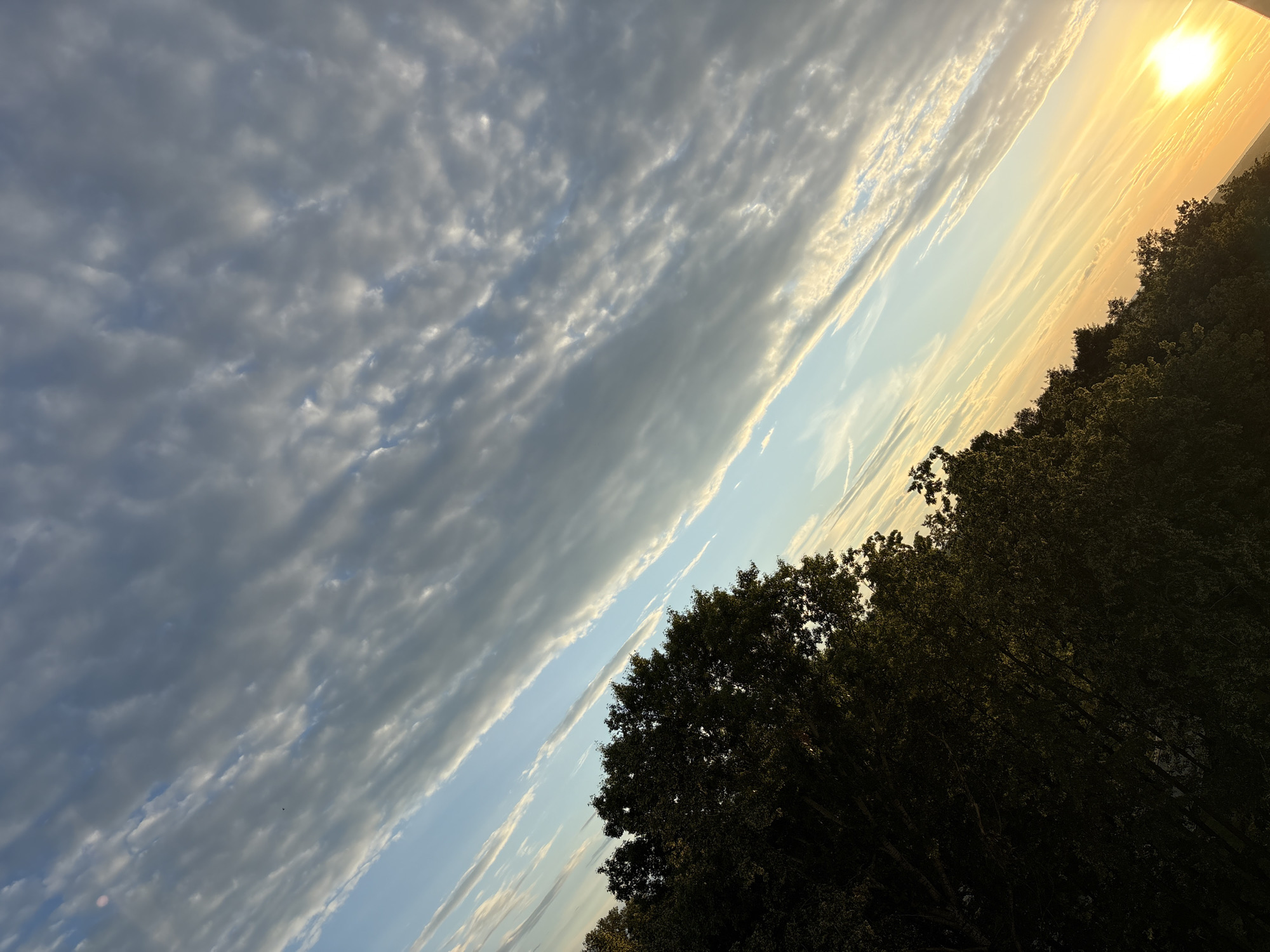 The image captures a landscape scene at sunset, with the sun a bright, intense disc in the upper right quadrant. The sky is a dramatic display of clouds, with a band of dark, textured clouds stretching across the left side of the frame, contrasting with lighter, streaky clouds closer to the sun. These lighter clouds are illuminated by the setting sun, creating a warm glow of yellows and oranges. A thin strip of blue sky is visible between the cloud formations.
The foreground is dominated by the dark silhouettes of trees, their dense foliage creating a textured border along the bottom and right edges of the image. The trees are illuminated from behind by the sunset, but their deep shadows suggest they are facing away from the light source.
The scene is set outdoors, likely in a rural or semi-rural area given the presence of trees and the expansive sky. The time of day is clearly sunset, indicated by the low angle of the sun and the warm, golden light. The weather appears to be partly cloudy, with a mix of dense and wispy clouds. There are no people or man-made objects visible in the frame, lending a natural and serene atmosphere to the image. The overall mood is tranquil and awe-inspiring, with the dramatic interplay of light and shadow in the sky and on the landscape. No visible text is present.