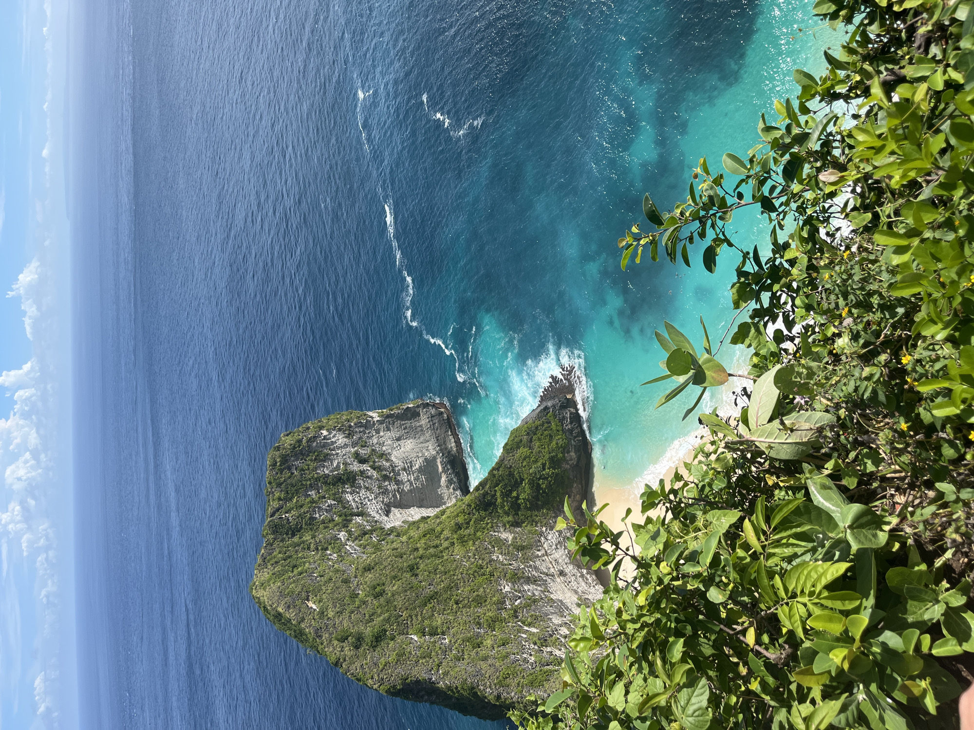 The image captures a high-angle view of Kelingking Beach in Nusa Penida, Indonesia. A prominent, T-shaped cliff covered in lush greenery extends into the deep blue ocean. Adjacent to the cliff, a smaller rock formation stands isolated, with the turquoise waters of the ocean washing onto the sandy beach at the base of both structures. In the foreground, vibrant green foliage partially obscures the view, suggesting the perspective of someone standing on the edge of a cliff overlooking the beach.