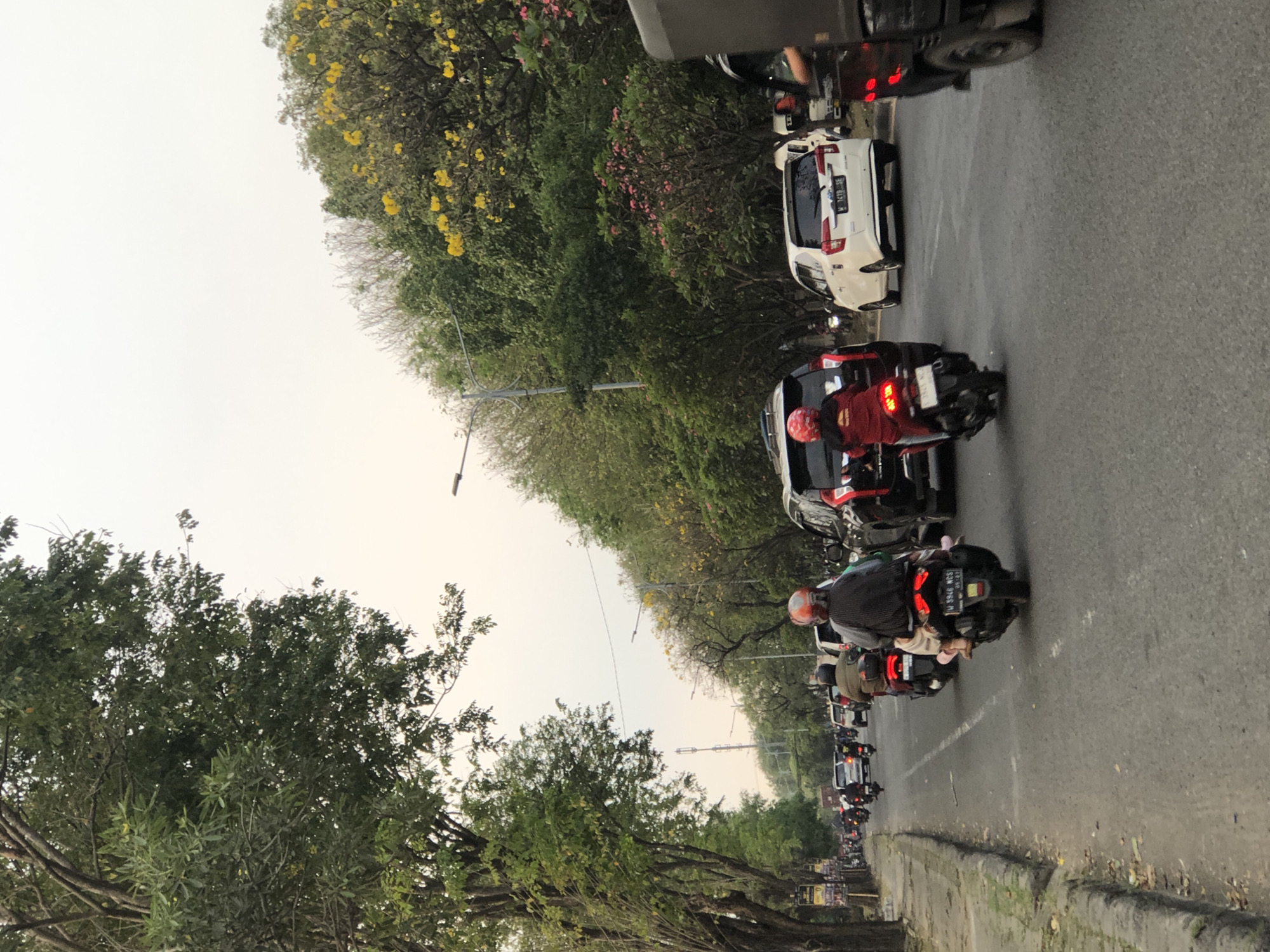 The image depicts a busy street scene in Gelam, Indonesia, with multiple vehicles and individuals navigating the roadway. In the foreground, two motorcycles are visible, one with a driver wearing a red jacket and helmet, and another with a rider in a dark shirt and helmet. Both motorcycles are moving forward, indicating traffic flow. Several cars are also present on the road, including a white car and a black SUV.
The environment is characterized by a tree-lined street with lush green foliage and yellow flowers blooming on some trees. The sky is overcast, suggesting a cloudy or hazy day. The roadway appears to be asphalt, with visible lane markings. In the background, there are more trees and some buildings, further establishing the urban setting. The overall impression is one of a typical day on a busy Indonesian street, with a mix of traffic and natural elements.