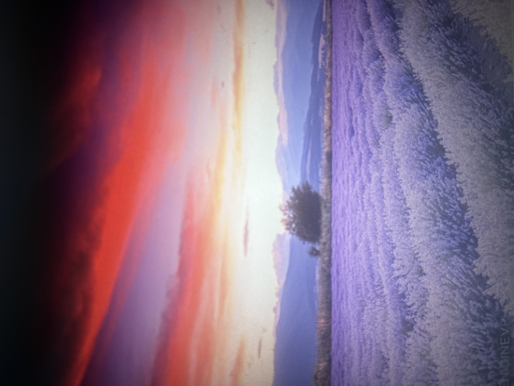The image depicts a vibrant sunset over a lavender field with mountains in the background. The sky is a dramatic display of deep reds, oranges, and purples, with streaks of lighter hues. In the foreground, an expanse of purple lavender stretches towards a treeline. Beyond the field, rolling hills or mountains are visible, silhouetted against the colorful sky. A single, mature tree stands to the right of center in the middle ground. There is a watermark on the bottom left corner that reads "ENDINEVP". The image appears to be a photograph, possibly taken on a digital camera or from a screen, as indicated by the pixelated texture. The overall impression is one of natural beauty and tranquility.
This image does not contain any elements that would allow for its identification with the city of Sofia, Bulgaria.