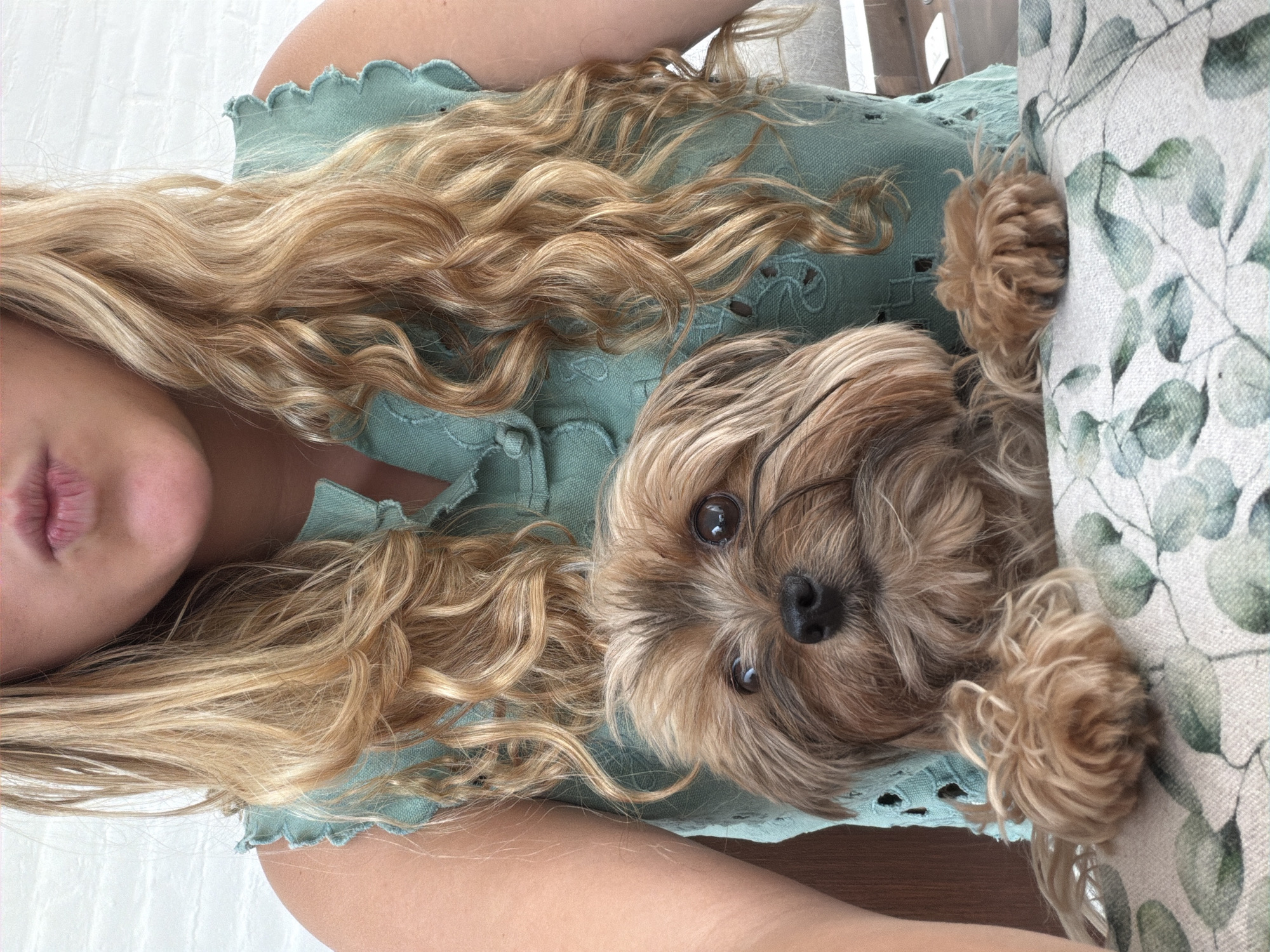 A person with long, wavy blonde hair is lying down, wearing a light green shirt. A small, brown Yorkshire Terrier-like dog is lying next to the person, with its paws resting on a cushion with a leaf pattern. The dog is looking directly at the camera. There is no indication of a specific location in San Bernardino Tlaxcalancingo, Mexico.