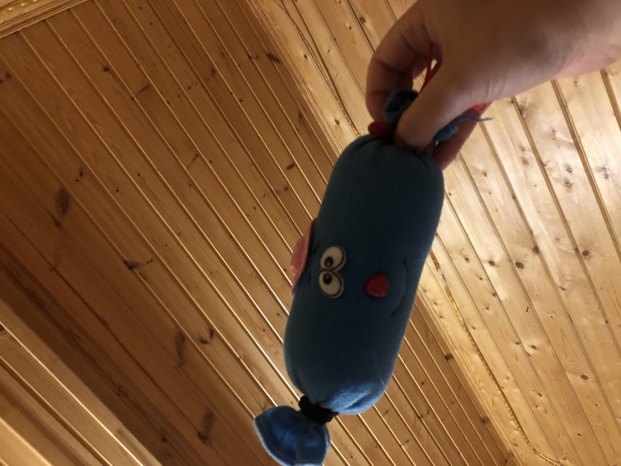 A person's hand holds a blue stuffed toy that resembles a sausage. The toy has googly eyes, a red nose, and a pink accessory on its head. The toy is held against a background of wooden planks, likely a ceiling or wall. The scene is indoors, with a strip of yellow LED lights visible along the wooden surface. The location is identified as Moskovskiy Veterán Snt, Russia.