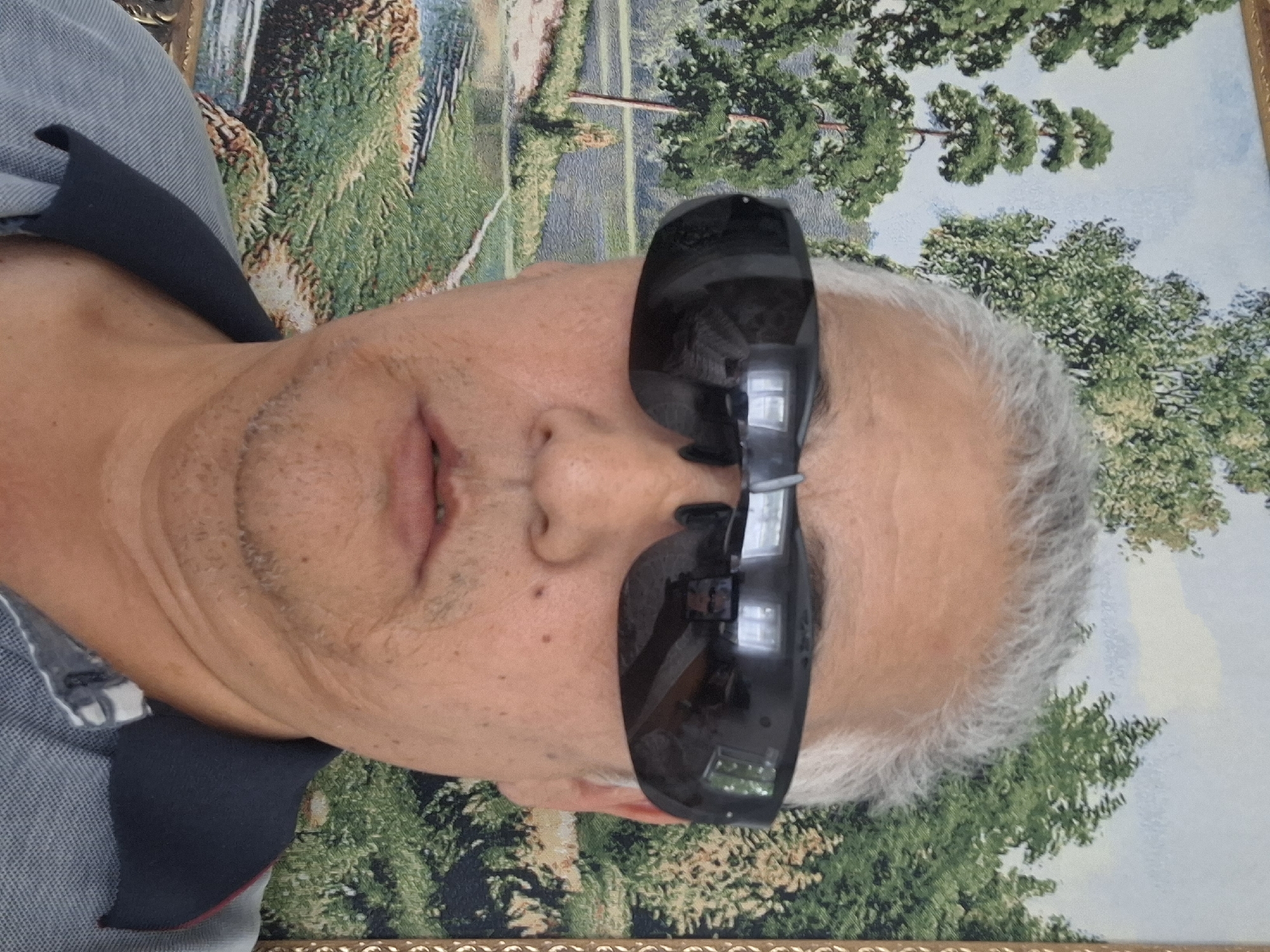 A man with gray hair and sunglasses is looking at the camera. He is wearing a gray shirt. Behind him is a tapestry depicting a landscape with trees and water. The tapestry is framed. The image is a close-up of the man's face and upper body. There is no identifiable location in Almaty, Kazakhstan.