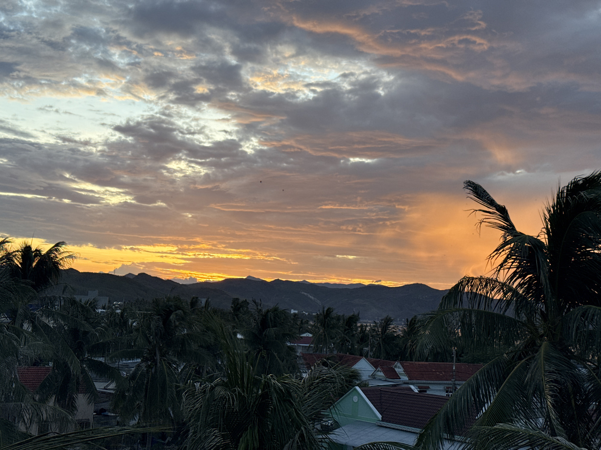 The image captures a wide-angle view of a sunset over a coastal town. The sky is filled with dramatic clouds, with hues of orange, yellow, and gray dominating the scene. The sun, low on the horizon, casts a warm glow, illuminating the undersides of the clouds and creating a vibrant spectacle. In the foreground, lush green palm trees, their fronds silhouetted against the bright sky, frame the view. Beyond the trees, a cluster of houses with terracotta roofs are visible, interspersed with glimpses of green vegetation. In the distance, a range of dark, undulating hills form a natural backdrop against the colorful sky. The overall impression is one of a serene and beautiful evening in a tropical location.