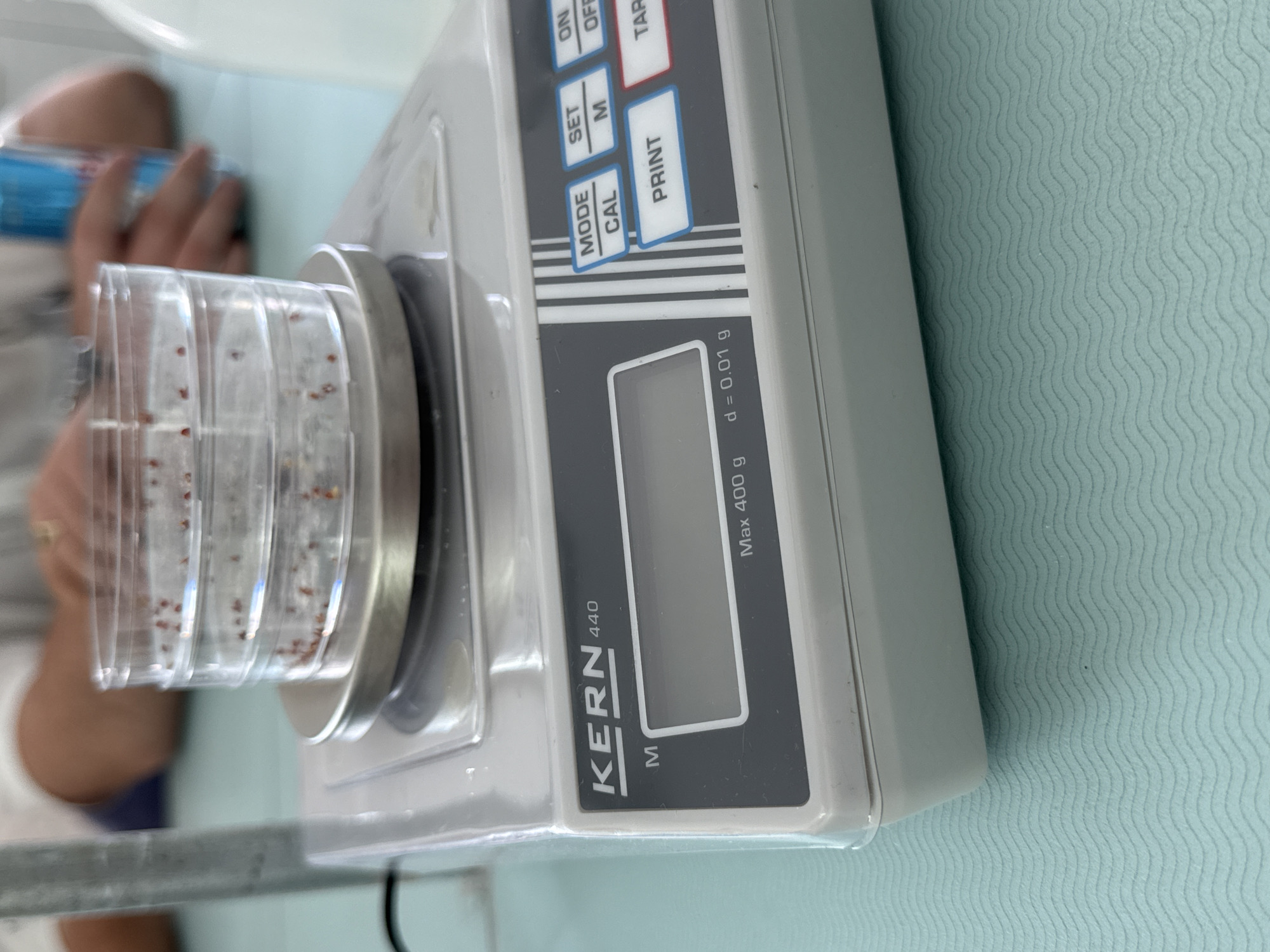 A digital scale, a Kern 440 M model, is weighing a clear petri dish containing small, dark-colored seeds or specimens. The scale's display is blank, but it indicates a maximum capacity of 400 grams and a readability of 0.01 grams. Part of a person's hand and arm are visible in the background, holding what appears to be a blue container. The scene is set on a light blue, textured surface. There is no information about the city of Sofia, Bulgaria.
