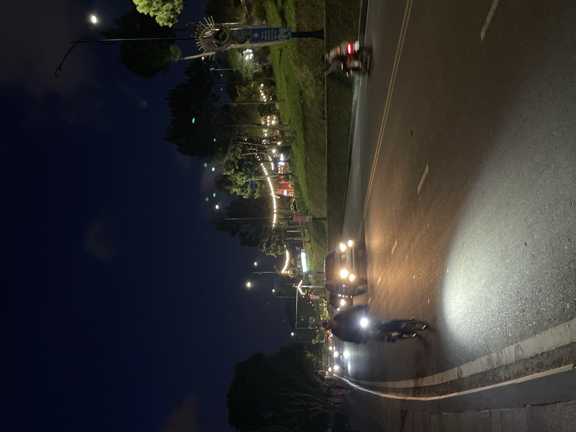 This image captures a nighttime scene on a multi-lane road in Da Lat, Vietnam. The sky is dark blue-black with scattered, indistinct cloud formations.
The roadway features at least two visible lanes of traffic, marked by solid white lines on the shoulders and double yellow lines in the center. The asphalt surface exhibits areas of reflectivity, possibly indicating dampness or a recent wetting event.
In the immediate foreground and extending towards the mid-ground, a person on a bicycle is traveling towards the camera in the rightmost lane. The bicycle is equipped with a very bright front headlight, casting a strong, elongated beam of white light onto the road. The cyclist is wearing dark attire and a red or maroon helmet. An oncoming dark-colored vehicle, likely an SUV, with illuminated headlights is positioned in the adjacent lane, partially obscured by the bicycle's light. Further down the road, additional vehicle headlights are faintly visible. A motorcycle with a red tail light is traveling away from the camera in the far-right lane, appearing motion-blurred. Another motorcycle's tail light is visible in the distant background.
On the left side of the road, a concrete sidewalk with a distinct white-painted curb separates it from the vehicular lanes. Several large trees with dark foliage line the sidewalk, and multiple indistinct human figures, consistent with pedestrians, are visible along this path.
On the right side of the road, a steep, grassy hillside ascends, bordered by a low hedge or wall. This hillside is densely populated with pine trees and is extensively decorated with multiple strings of warm yellow incandescent lights, creating a festive illumination pattern among the foliage. Dimly lit structures or buildings are visible through the trees at the crest of the hill. Several tall streetlights with bright white lamps are strategically placed along the road and up the hillside, contributing to the overall illumination. A prominent lamppost on the right features an elaborate, wheel-like metallic ornamentation at its peak and a vertical blue banner displaying Vietnamese text and graphics.