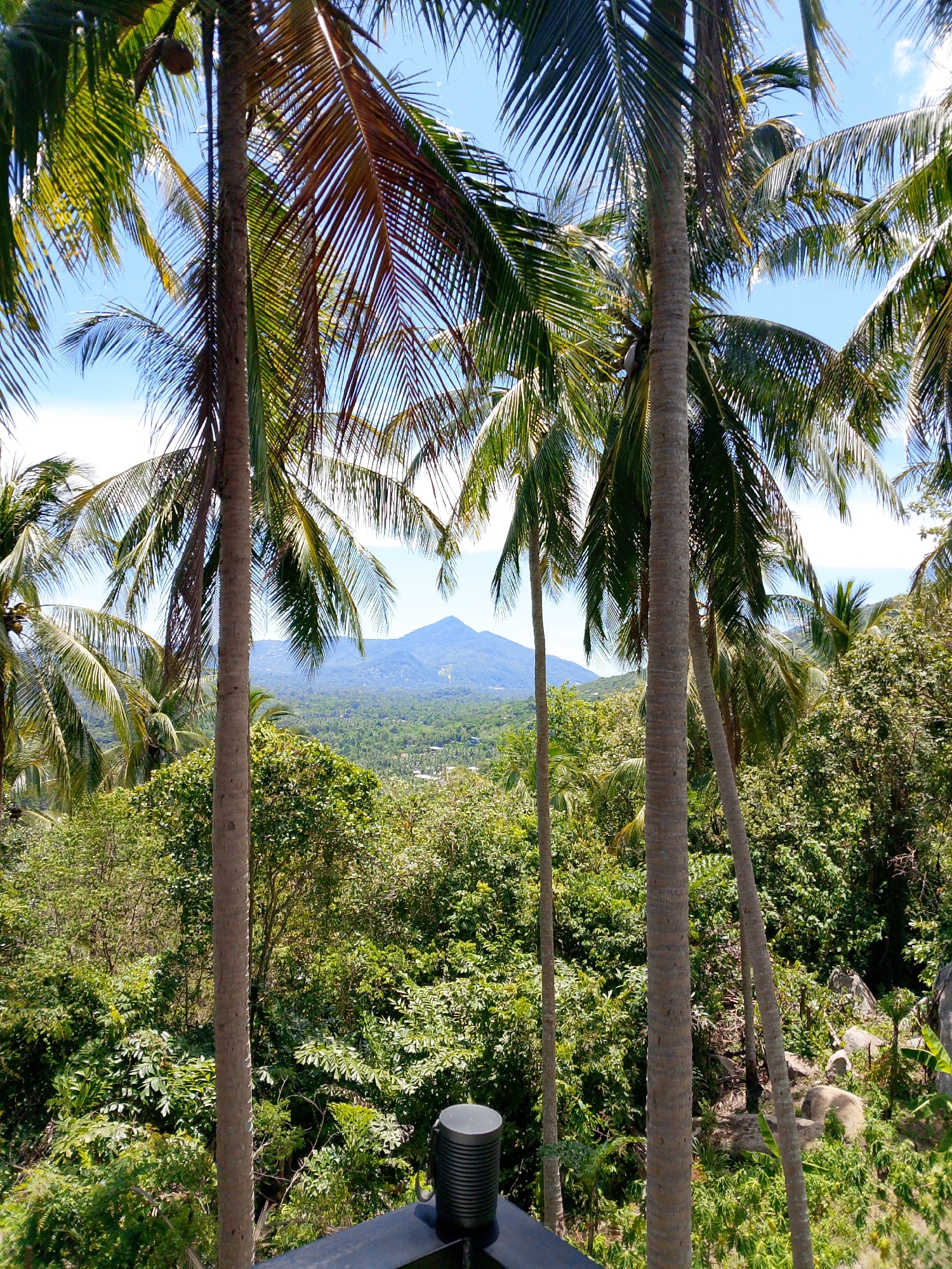 The image captures a scenic view from a balcony in Ban Tai Subdistrict, Thailand, looking out over a lush, tropical landscape. In the foreground, several tall coconut palm trees with their fronds prominently displayed against a bright blue sky dominate the view. Their rough, textured trunks are vertical elements that frame the scene. Below the palms, a dense canopy of green trees and foliage covers the rolling hills. In the distance, a majestic mountain range is visible, its peaks softened by the haze of the tropical atmosphere. The colors are vibrant, with the deep greens of the vegetation contrasting with the blue sky and the muted blues and purples of the mountains. In the bottom right corner of the frame, a dark metallic cylindrical object, possibly a bin or a speaker, rests on a dark railing. The overall impression is one of tranquility and natural beauty, typical of a tropical paradise.