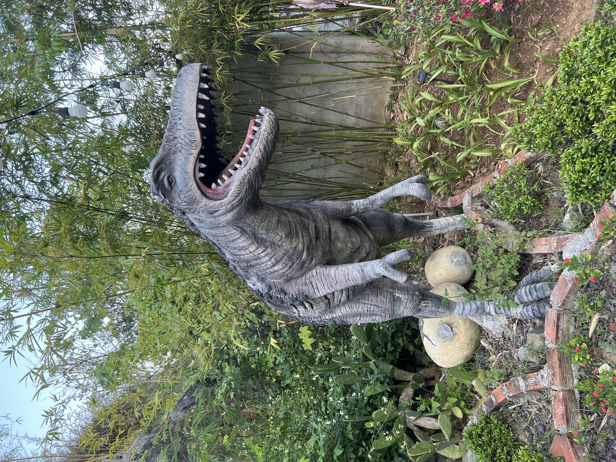 A large, grey dinosaur statue stands prominently in an outdoor, densely vegetated display area located in Nha Trang, Vietnam. The statue, depicting a bipedal theropod-like dinosaur with textured, weathered skin, faces towards the left with its mouth agape, revealing multiple sharp teeth. At the base of the statue, to its left, two large, pale, ovoid objects resembling dinosaur eggs are partially visible.
The surrounding environment is characterized by lush greenery. Numerous tall bamboo stalks form a dense backdrop and extend along the right side of the frame. Various other plants are present, including bushes with small white flowers, flat-pad cacti near the dinosaur's base, and low-growing ground cover, some with small red flowers. A low border constructed from red bricks runs along the immediate foreground. In the upper right quadrant, a string of several white incandescent light bulbs is suspended between the bamboo stalks. A grey concrete wall is partially visible behind the bamboo on the right side. A small black solar garden light is present in the lower right foreground amidst low-lying foliage. The upper left background reveals a rocky, vegetated incline under a clear, bright sky. No individuals are present in the scene.