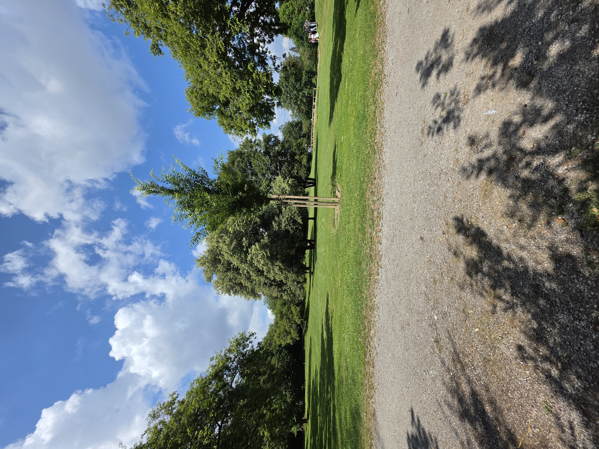 This image captures a sunny day in the Olympiapark in Munich, Germany. The foreground is dominated by a gravel path with the dappled shadows of tree leaves cast across it. Beyond the path lies a vast expanse of lush green grass, forming a park-like setting. Several mature trees with dense green foliage are scattered across the landscape, creating areas of shade. In the mid-ground, a young tree is visible, supported by stakes. Further into the park, a group of five people, appearing to be tourists, are standing near a wooden fence, engaged in conversation or observation. The sky above is a vibrant blue, punctuated by fluffy white cumulus clouds. The overall scene depicts a peaceful, recreational area on a pleasant summer day.
