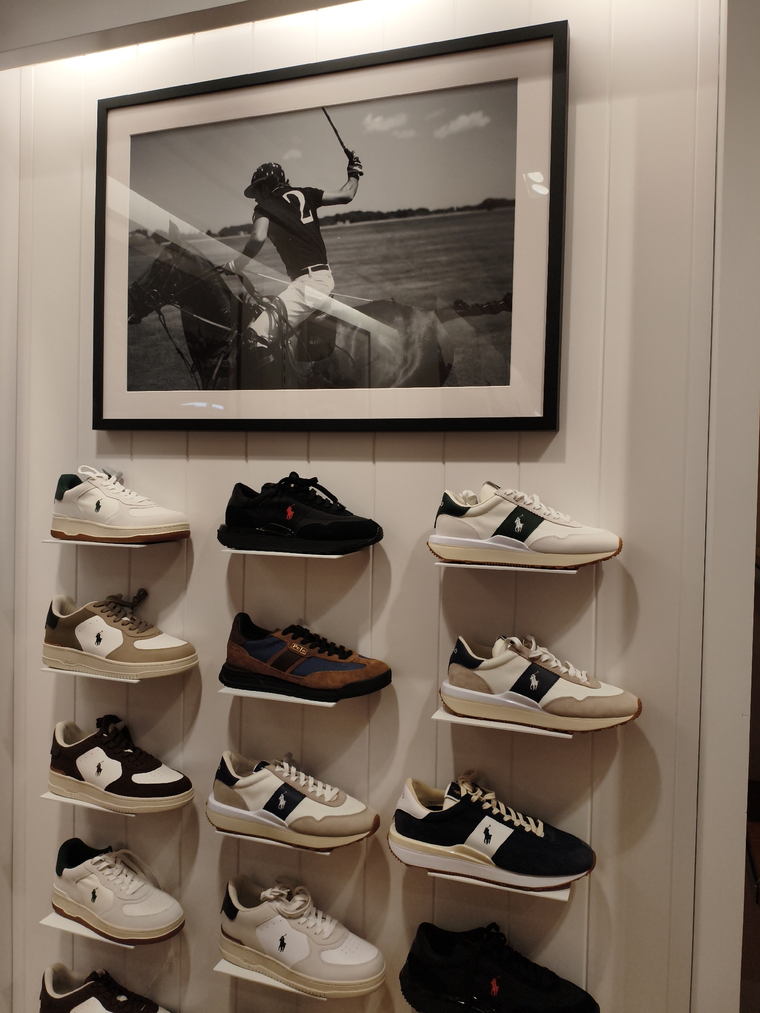 The image depicts a retail display of Polo Ralph Lauren footwear, arranged on white shelves against a white paneled wall. Above the shoes, a framed black and white photograph features a polo player on horseback. The display is located within a store in Neumünster, Germany.
On the left side of the display, from top to bottom, are four pairs of shoes:
1. A white sneaker with a brown sole and a dark green heel accent.
2. A tan and white sneaker with a tan logo accent.
3. A brown and white sneaker with a white sole and a dark brown heel accent.
4. A white sneaker with a dark brown toe and heel accents.
On the right side of the display, from top to bottom, are four pairs of shoes:
1. A black sneaker with a red logo.
2. A brown and blue sneaker with "Polo" text on the side.
3. A white and tan sneaker with a navy blue stripe and logo.
4. A black sneaker with a red logo.
The lighting in the scene is bright, with some glare visible on the framed photograph. The overall presentation is neat and organized, typical of a commercial footwear display. No people are visible in the image.