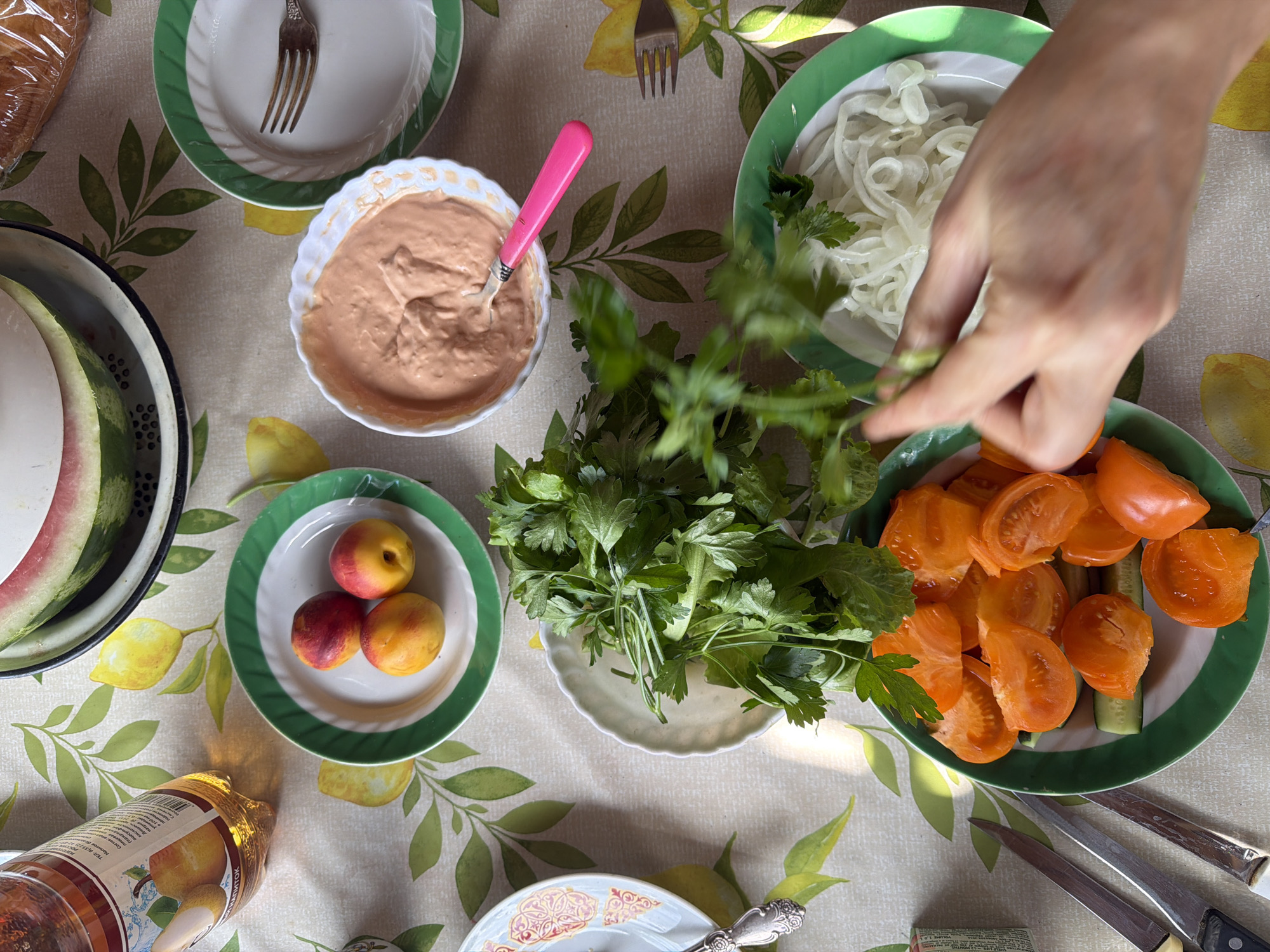 This overhead shot captures a picnic table laden with food and utensils. In the foreground, a hand is in motion, reaching towards a plate of sliced orange tomatoes and cucumber. Adjacent to this is a white bowl filled with thinly sliced white onions, topped with a sprig of green herbs. To the left, a small plate holds three nectarines. A bowl of pinkish dip sits to the right of the nectarines, accompanied by a pink-handled utensil. Further to the right, a plate with a fork is visible, and a loaf of bread wrapped in plastic is present in the upper right corner. A bottle of amber-colored liquid stands near a large slice of watermelon in a metal basin. The table is covered with a tablecloth featuring a repeating pattern of green leaves and yellow lemons. The scene suggests an outdoor meal, possibly a picnic, set on a flat surface. The location is unspecified.