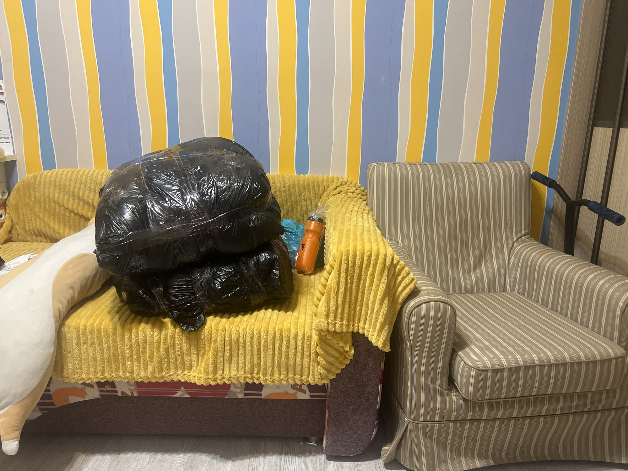 The image shows two pieces of furniture, a yellow sofa and a striped armchair, in a room. A large black trash bag is placed on the sofa, along with a long white and tan stuffed animal. An orange water bottle is also on the sofa. The background features a wall with vertical stripes of blue, yellow, and grey. A part of a dark brown wooden cabinet and a scooter are visible on the right side of the image. The floor is made of light-colored wood. The location is described as Veteran-2, Russia.