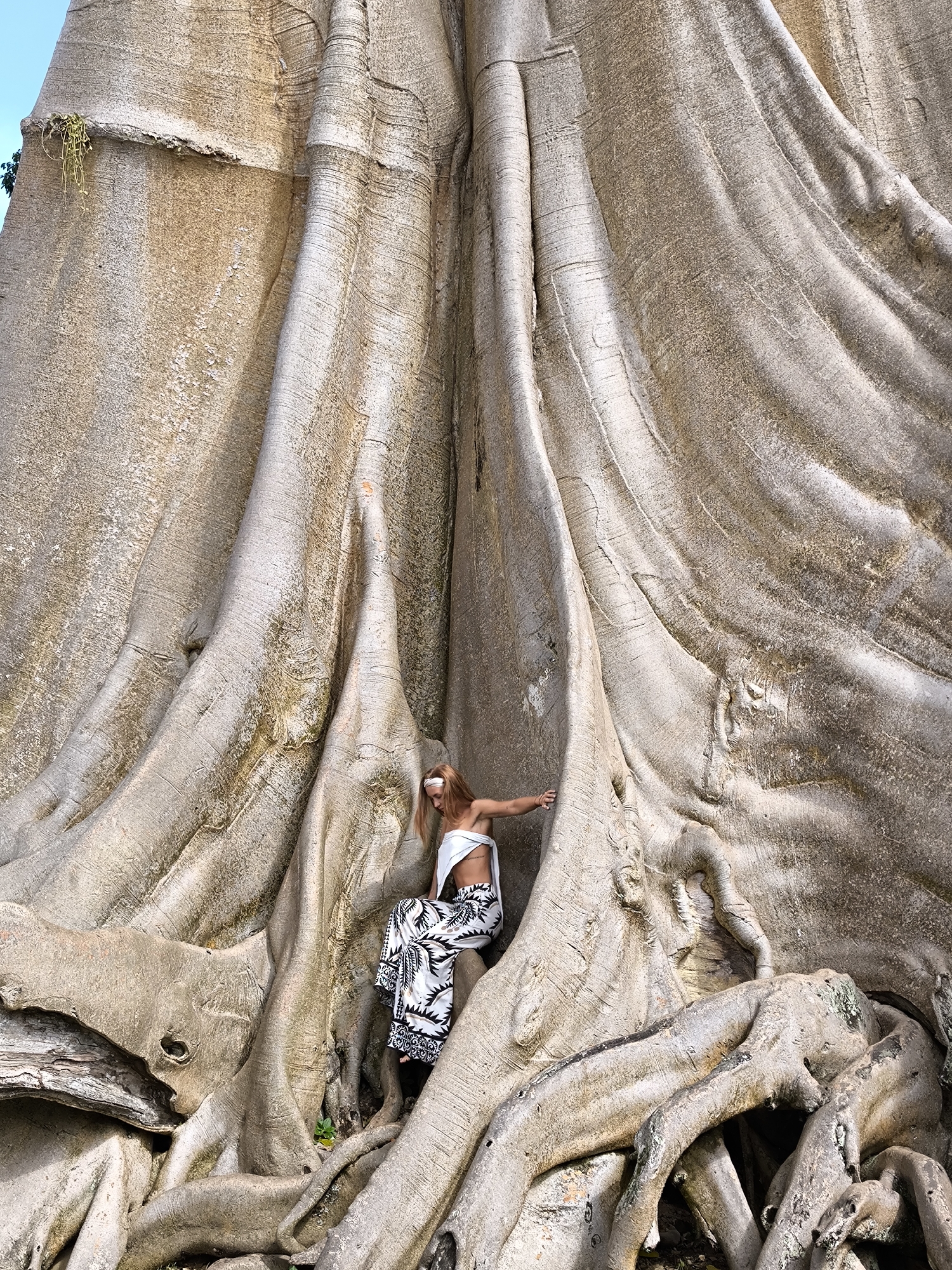 A woman is posing seated on the roots of a large Banyan tree in a tropical environment, likely a forest or park. The tree's roots are thick and gnarled, spreading out from its massive trunk. The woman, with blonde hair, is wearing a white bandeau top and patterned pants. She is leaning back and extending her left arm, appearing relaxed. The background consists of the tree's textured bark and some foliage.