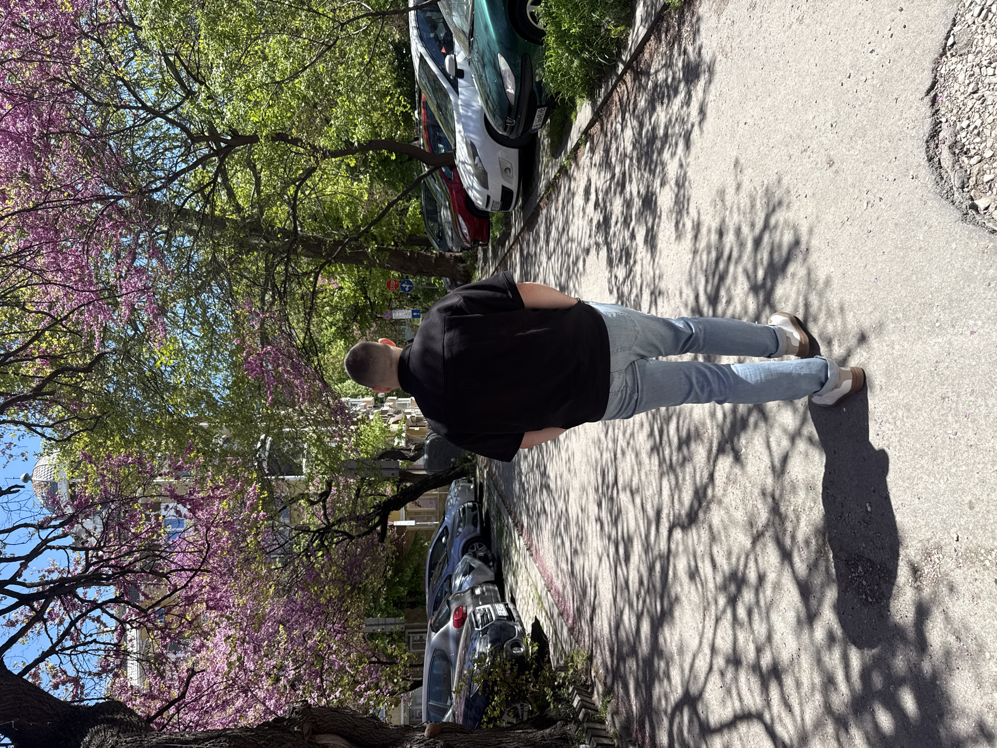 A man stands on a sidewalk, back to the camera, wearing a black shirt, light blue jeans, and tan shoes. He is on a street in Varna, Bulgaria, where cars are parked along the curb on both sides. Trees line the street, some with pink blossoms, casting shadows on the sidewalk. A building with a dome is partially visible in the background. The day is sunny.