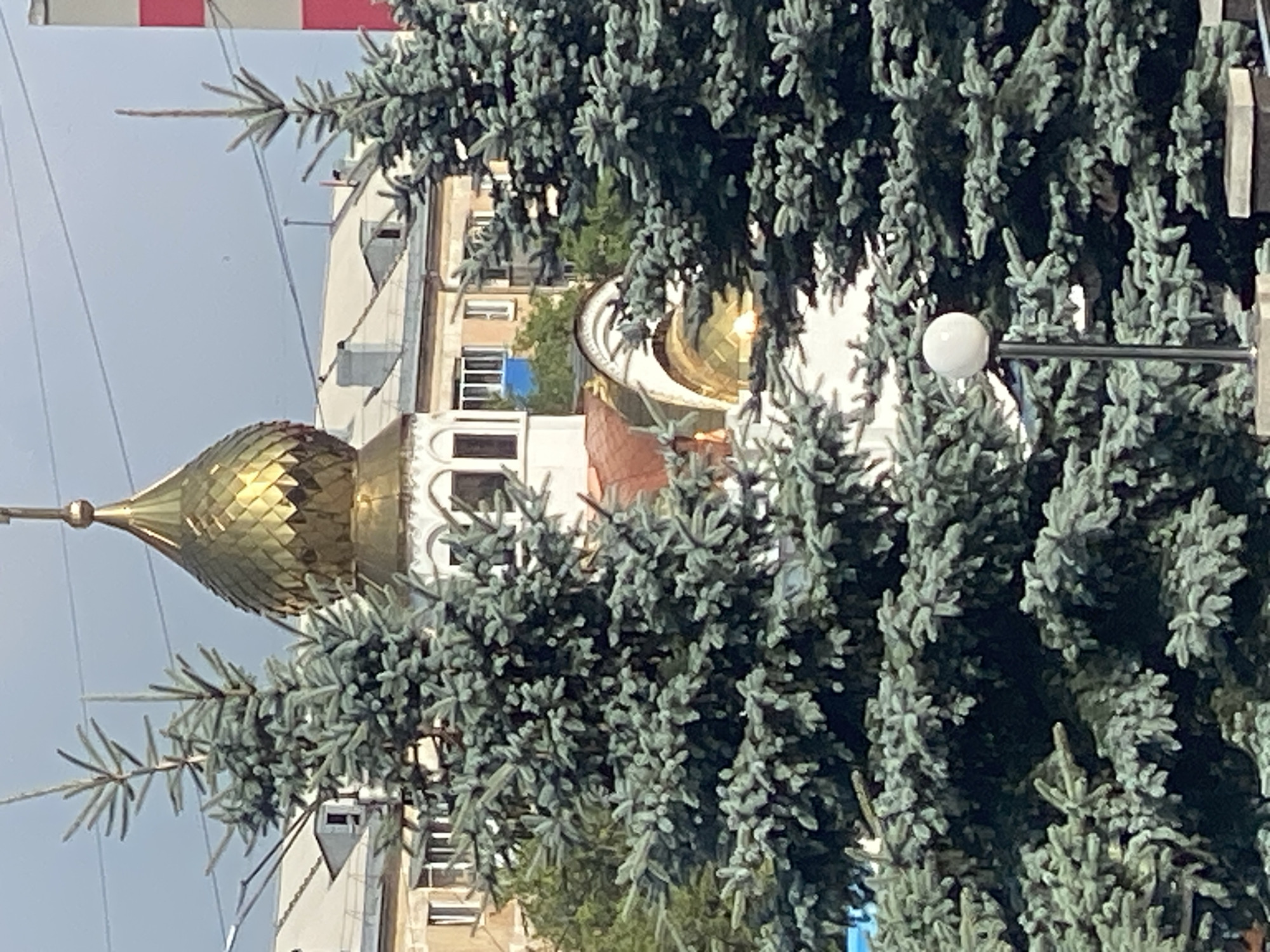 In Novokuznetsk, Russia, a golden dome of an Orthodox church peeks through the branches of two large blue spruce trees. The dome, characteristic of Eastern Orthodox architecture, reflects sunlight and is topped with a cross. Behind the trees, a row of multi-story buildings with beige and white facades forms the urban backdrop. The sky above is overcast. In the foreground, a lamppost with a white spherical light fixture stands to the right of the church dome. The scene captures a blend of religious architecture and urban greenery.