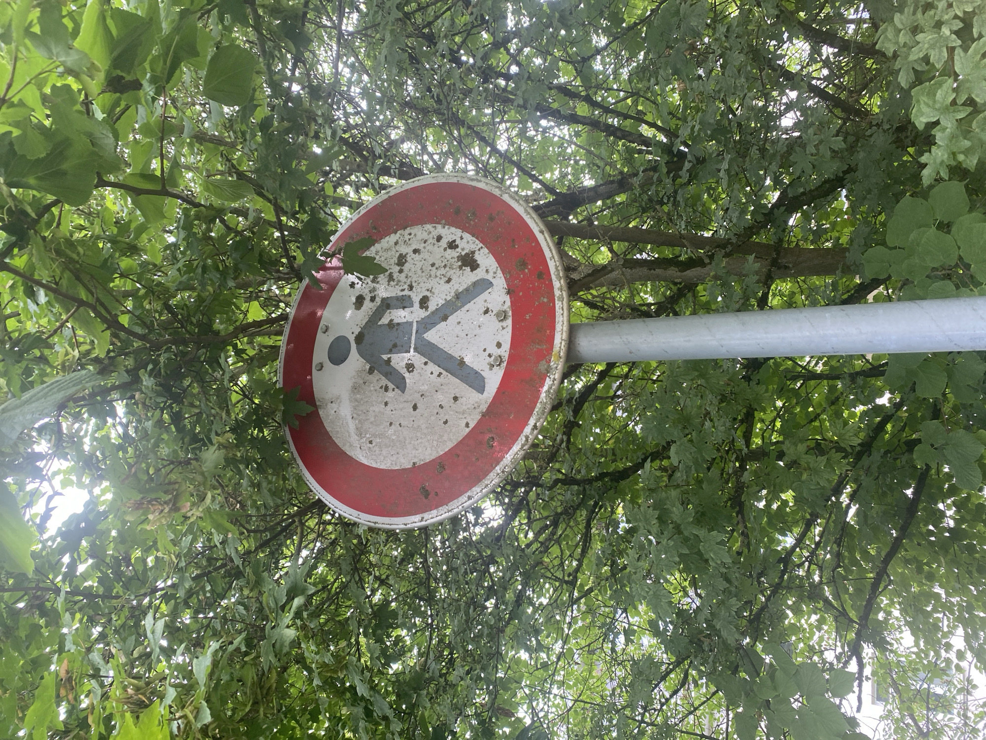 A round, red-and-white traffic sign prohibiting pedestrian passage is mounted on a silver pole. The sign is weathered and stained with dirt and possibly moss, with a silhouetted figure of a person walking across it. The sign is surrounded by dense green foliage of trees, with sunlight filtering through the leaves. The background suggests an outdoor, possibly urban or park-like setting, with the architecture of a building visible through the leaves on the left side. The image is taken from a low angle, looking upwards. The scene is in Göttingen, Germany.