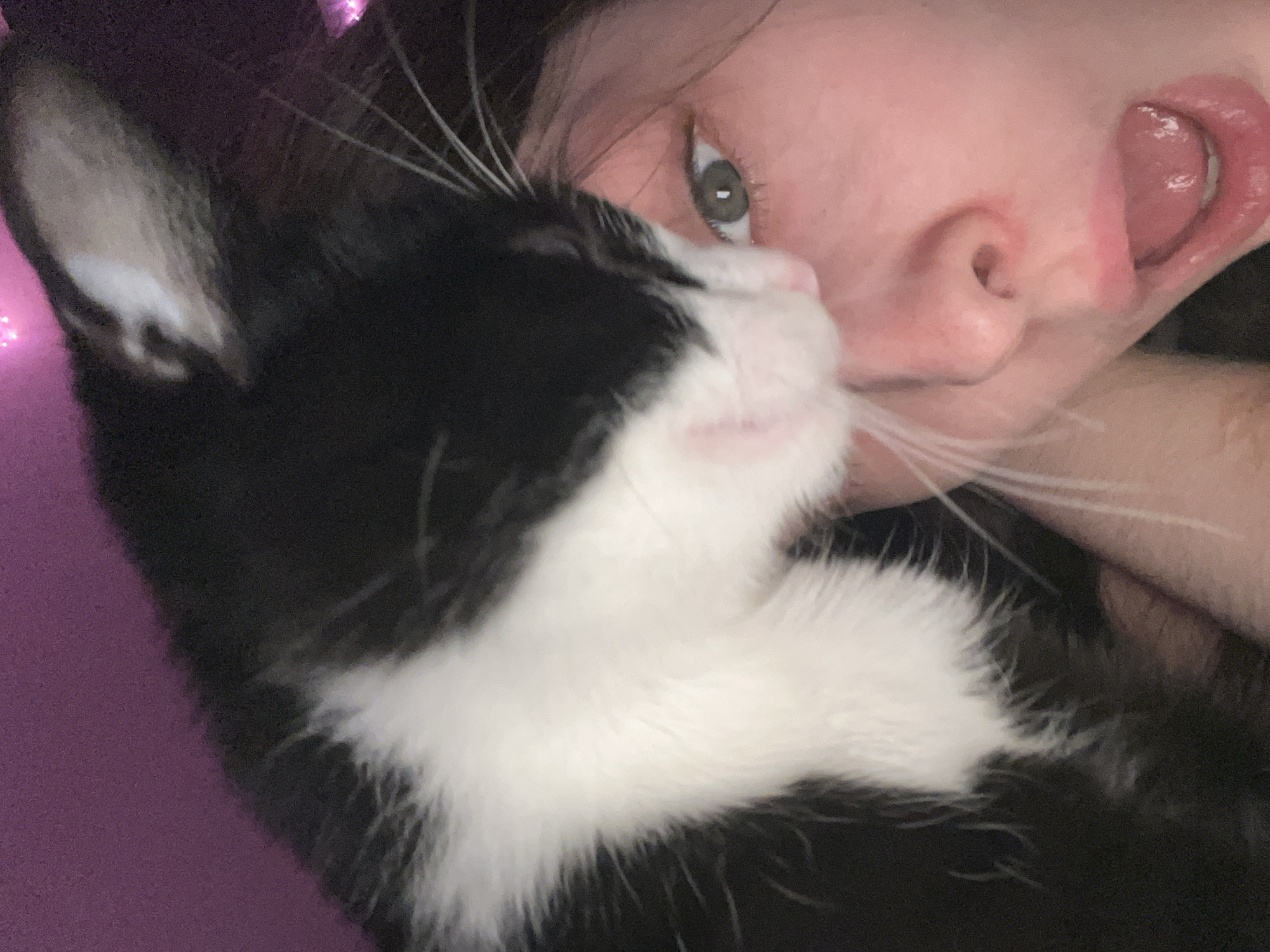 A close-up photograph shows a person and a black and white cat lying in close proximity. The person is fair-skinned with visible facial features including an eye, nose, and mouth with tongue extended. The cat has primarily black fur with white patches on its chest and face. The background appears to be a solid purple color. The location is not discernible from the provided image.
