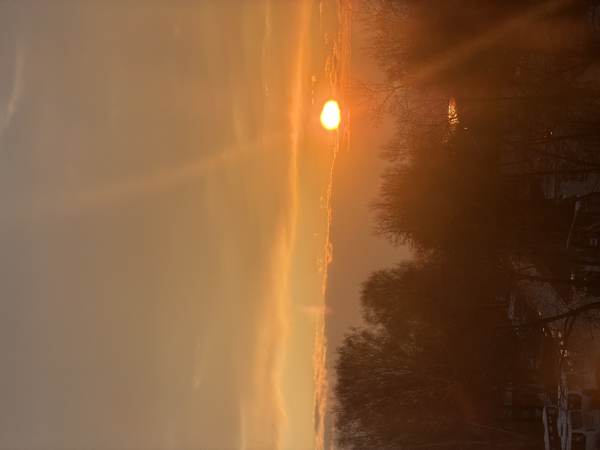 The image depicts a hazy sunset in the city of Chaikovsky, Russia. The sun appears as a bright, slightly diffused orb partially obscured by thin clouds. The sky is a gradient of orange and yellow hues. Bare branches of trees are silhouetted against the vibrant sky. Below the trees, there are glimpses of buildings and vehicles. The overall scene is a blend of natural beauty and urban environment during the sunset.