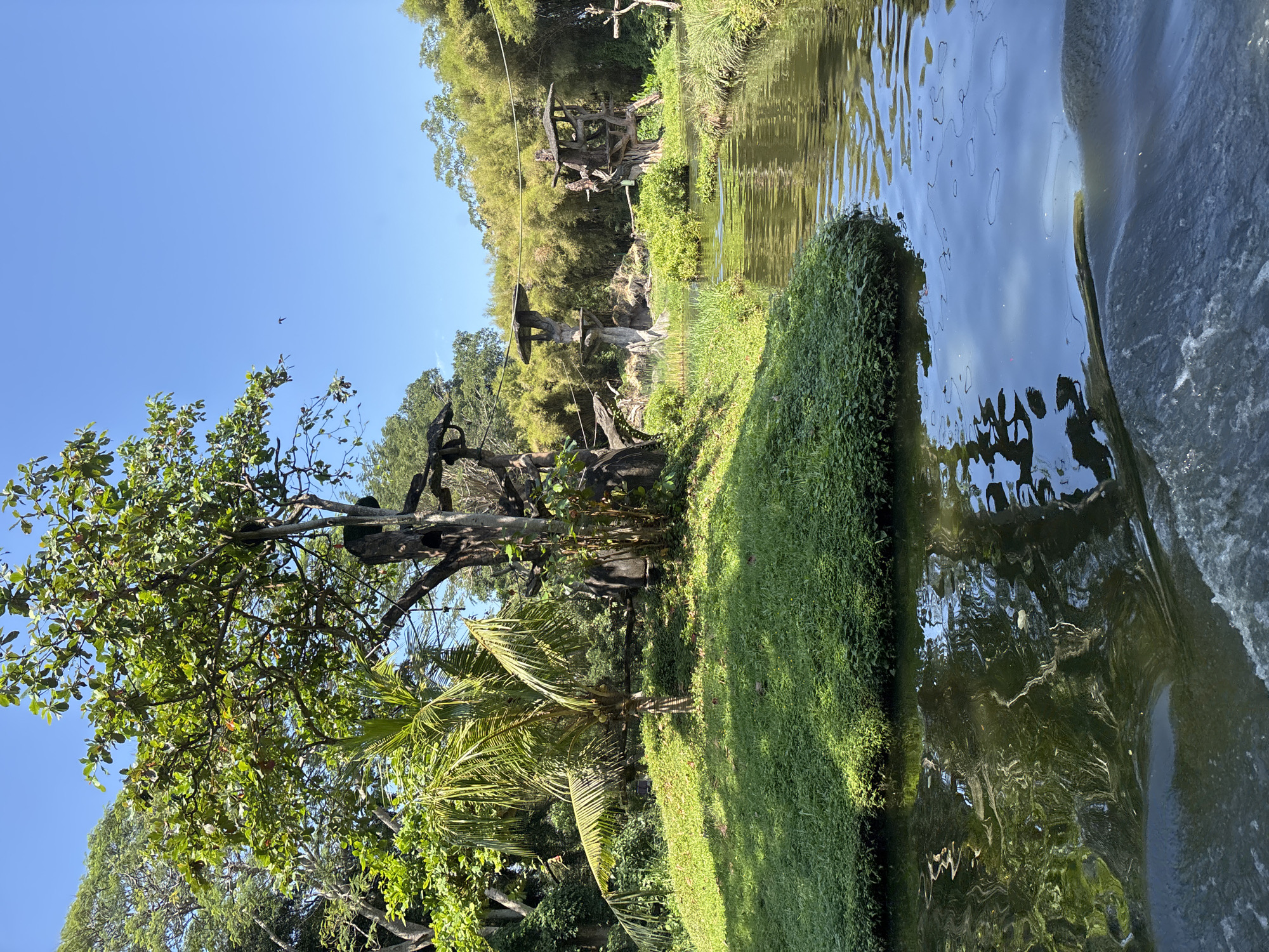The image depicts an outdoor enclosure, likely at a zoo or wildlife park, in Blahbatuh, Indonesia. A tranquil river or canal flows through the center, with lush green vegetation covering its banks. On the left bank, a small, grassy island is dotted with trees and dense foliage. In the background, several wooden structures resembling observation towers or enrichment habitats for animals are visible, surrounded by bamboo trees. The sky is clear and blue, with a single bird in flight. The overall impression is one of a well-maintained, naturalistic habitat designed to mimic a jungle or forest environment.
