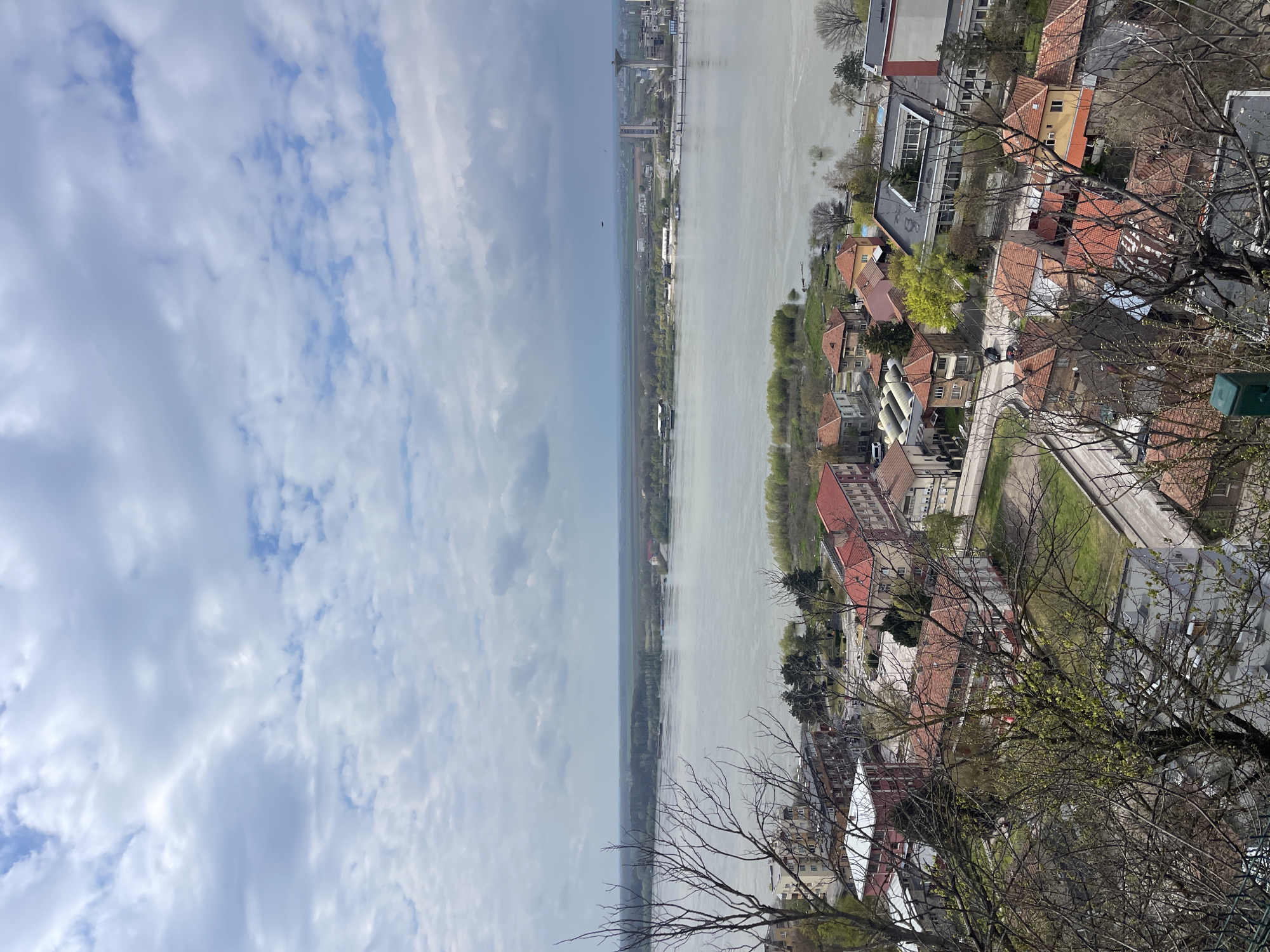 The image shows an elevated view of Nikopol, Bulgaria, facing the Danube River. The river runs vertically in the center, with the Bulgarian side on the right and the Romanian side on the left. The sky occupies the left side, partially covered by clouds. The right side shows buildings and houses with red tile roofs, streets, and bare trees. The viewpoint is from a high location, possibly a hill or a building.