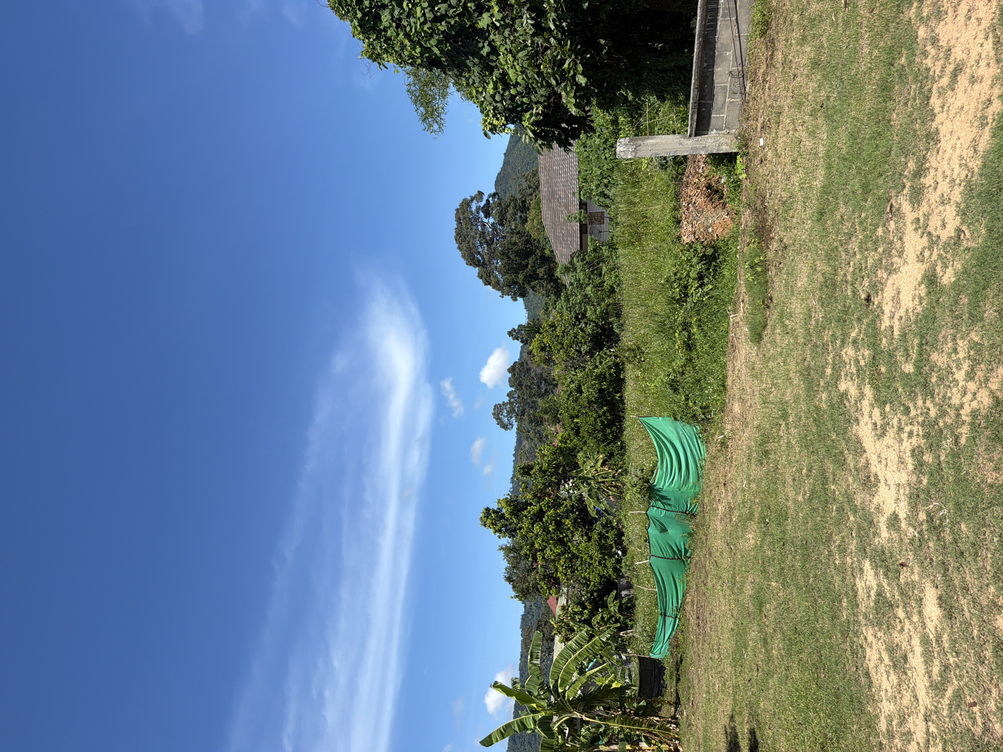 The image captures an outdoor scene on a sunny day in Baan Mae Nam, Thailand. The foreground consists of a patch of dry, sandy soil transitioning into a grassy area. In the middle ground, a bright green tarp is draped over a low structure, possibly for temporary shelter or gardening. Behind the tarp, lush green vegetation and trees dominate the landscape, with a glimpse of a building with a tiled roof partially obscured by the foliage. In the background, rolling green hills rise under a clear blue sky with scattered white clouds. The overall environment appears to be a rural or semi-rural setting with abundant natural greenery.