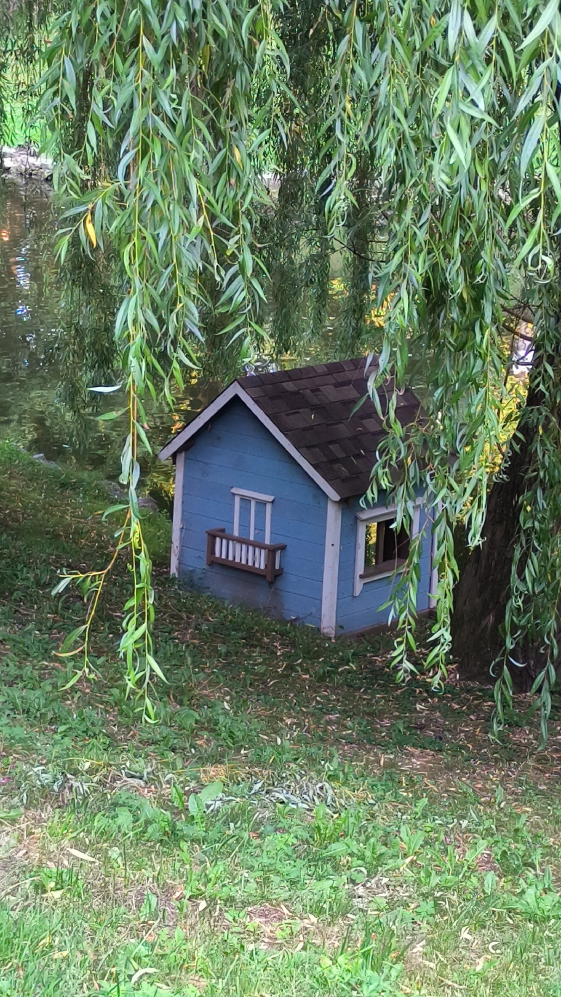 A small, blue, dollhouse-sized structure with a dark shingled roof is nestled on the grassy bank of a body of water. The structure has white trim around its windows and a small wooden balcony with white railings on one window. Long, green, weeping willow branches hang down, partially obscuring the view of the structure and the water. The ground around the structure is covered in green grass and fallen leaves. This scene is located in Stryiskyi Park in Lviv, Ukraine.