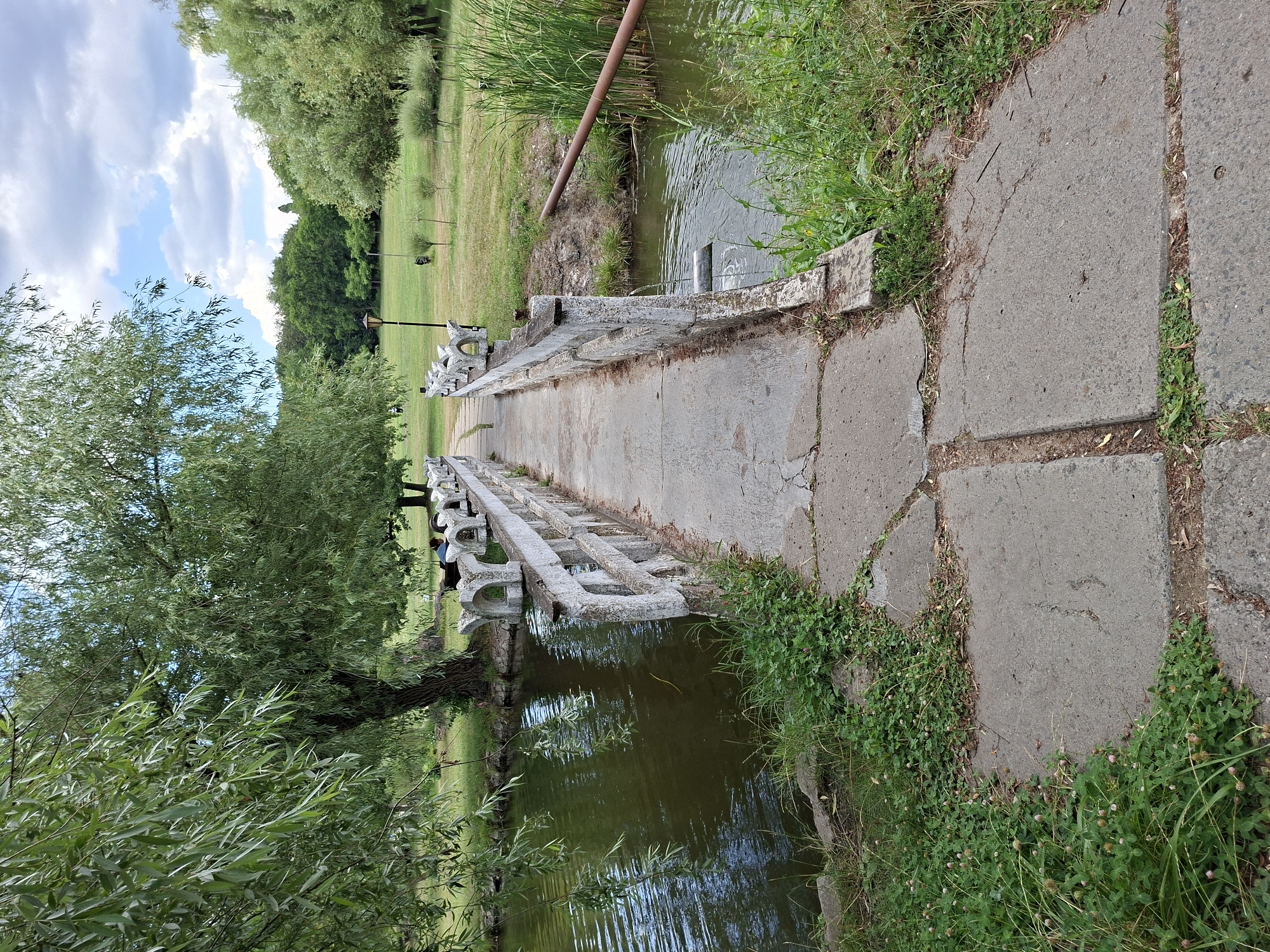 The image shows a concrete bridge over a body of water. The bridge has a white concrete railing with arched decorative elements. A pathway made of large concrete slabs leads across the bridge and onto a grassy area. To the left of the bridge, a large willow tree overhangs the water, its branches reaching towards the surface. The water is murky and green. On the right side of the bridge, tall reeds grow along the bank. A rusty metal pipe extends out over the water from the bank, and water is seen flowing into the body of water from a small pipe on the side of the bridge. In the background, there is a park-like setting with green grass, scattered trees, and a cloudy blue sky. Two people can be seen sitting on a bench on the other side of the bridge, and a lamppost is visible in the background. The scene appears to be a public park. Without specific landmarks or context, pinpointing the exact location in Chișinău, Moldova, is not possible from the image alone.