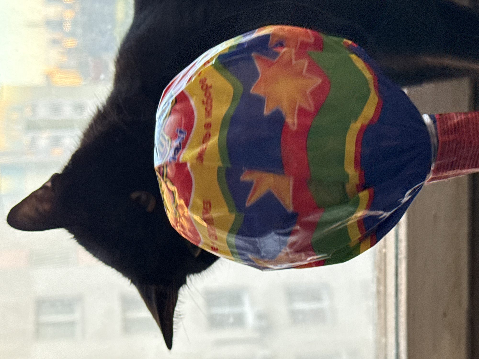 An indoor close-up photograph captures a black cat peering over a colorful spherical object, possibly a lollipop or a toy, against a blurred background of what appears to be an apartment building. The cat's head and shoulders are visible, with its ears pointed and its body largely obscured by the foreground object. The object is wrapped in shiny, patterned plastic with wavy bands of red, yellow, blue, and green, and features starburst designs. The background suggests a window view with the outlines of windows and balconies of a building, indicative of an urban setting. The lighting suggests it might be daytime, possibly late afternoon or early morning, given the soft light illuminating the background. The scene is set on a windowsill or similar flat surface. The location is identified as the city of Khimki, Russia.