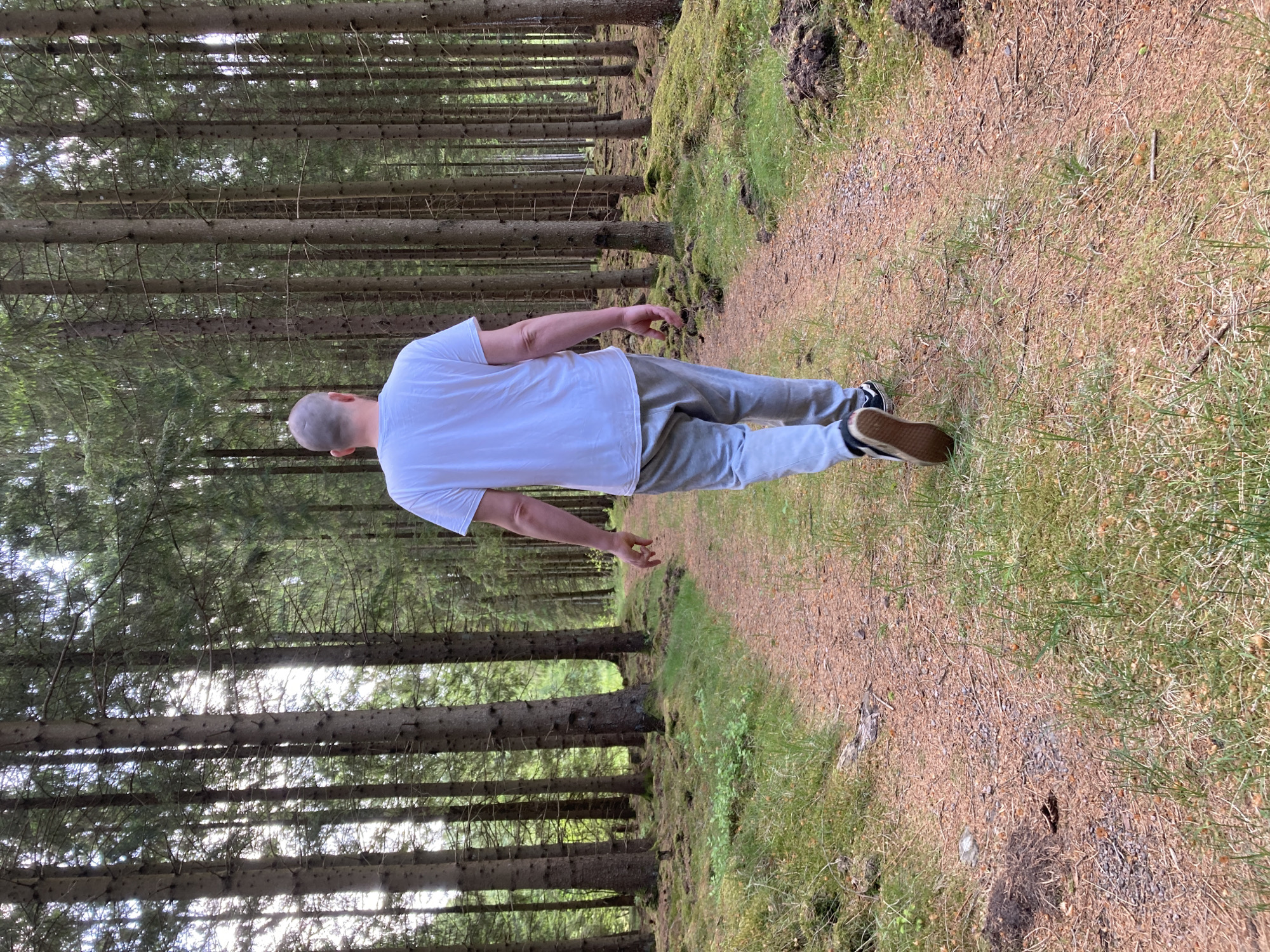 The image, originally oriented sideways, depicts a person from behind walking along a forest path. When viewed correctly (rotated 90 degrees counter-clockwise), the person, with a shaved head, is wearing a plain white t-shirt, grey sweatpants, and black sneakers with white soles. They are positioned towards the center-right of the frame, moving away from the viewer.
The setting is a dense coniferous forest, characterized by numerous tall, slender trees with dark grey trunks and green needles, suggesting spruce or pine trees. Bright sunlight filters through the tree canopy, creating bright spots and a dappled lighting effect, indicating it is daytime. The path itself is light brown, composed of dirt and small pebbles, with areas of green grass and moss growing along its edges. The forest floor on both sides of the path features dark green undergrowth and moss. The scene evokes a peaceful, natural outdoor environment. There is no visible text. The location context is Vessigebro, Sweden.