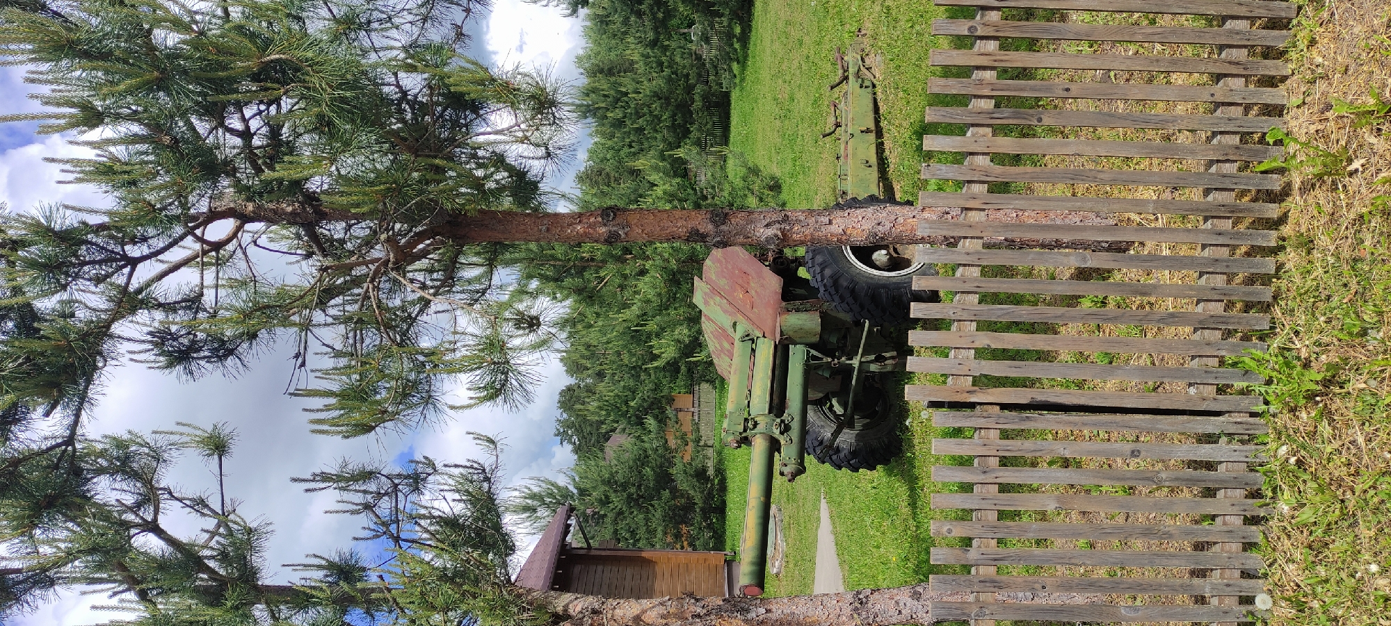 A landscape photo shows a vintage artillery piece next to a wooden fence in a green field, possibly a park or open space, beneath a tall pine tree. The sky visible through the tree branches suggests an overcast day. The artillery gun is green with a large wheel visible behind a portion of the tree. A building with a brown roof is partly visible near the bottom of the image. The wooden fence runs vertically alongside the artillery gun. The location may be Ivanovskoe, Russia, but this is not visually verifiable.