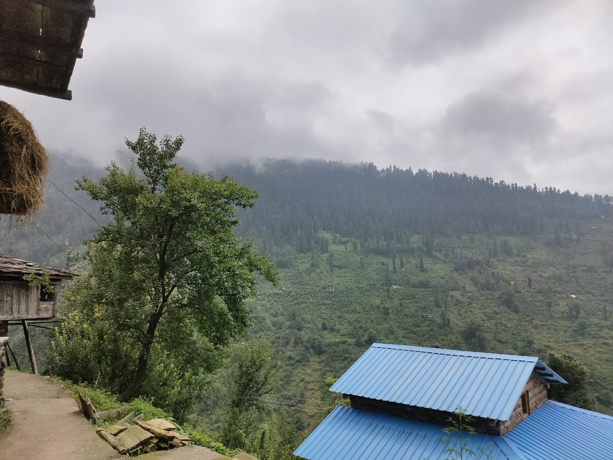 The image depicts a hilly landscape under a cloudy sky, likely in Damadi, India. In the foreground, a pathway leads towards a wooden structure on stilts, partially obscured by lush green foliage. A large tree with dense leaves stands to the left of the pathway. To the right, a building with a blue corrugated metal roof is visible, extending into the frame. Beyond these structures, a verdant hillside is covered with a dense forest of coniferous trees. Scattered across the hillside are several small buildings and yellow tents, suggesting human habitation or activity in the area. The overall impression is of a remote, natural setting with evidence of a small community.