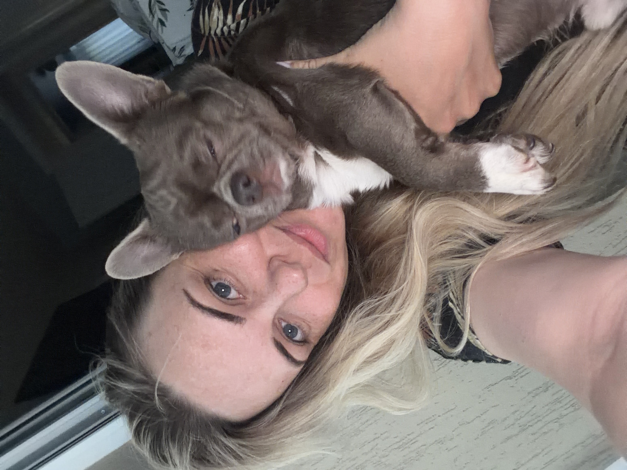 A woman with blonde hair and blue eyes is lying down, with a gray and white pit bull-type dog lying on top of her. The woman is looking at the camera. The dog is facing the left, with its head resting on the woman's forehead. The background is blurry and indistinct. There is no information to suggest this image was taken in Votkinsk, Russia.