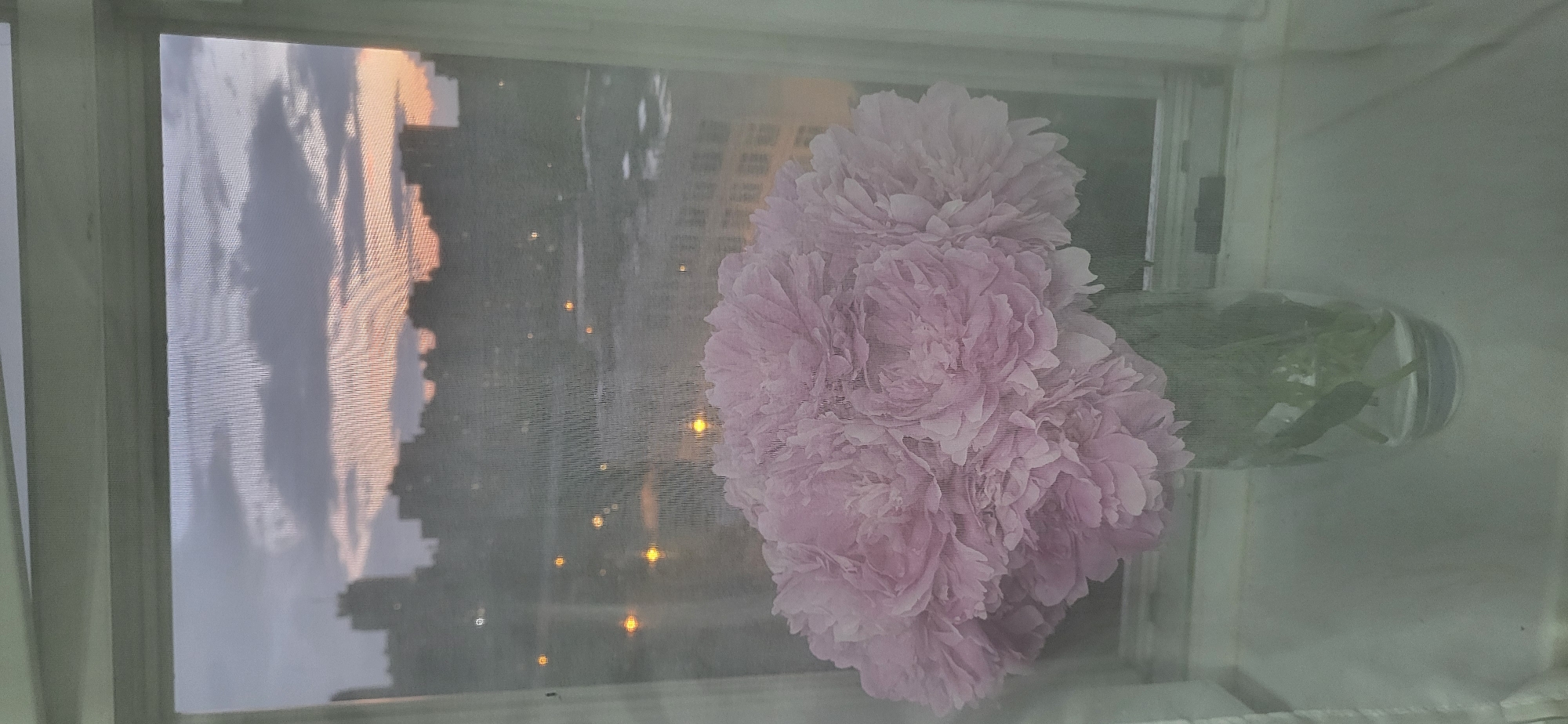 A bouquet of pink peonies in a glass vase is placed on a windowsill. Through the window, a hazy cityscape is visible at dusk, with silhouetted buildings and a sky streaked with soft oranges and purples. The window screen is slightly visible, creating a diffused effect. The lighting is dim, suggesting twilight or early morning. There are no people visible in the image.