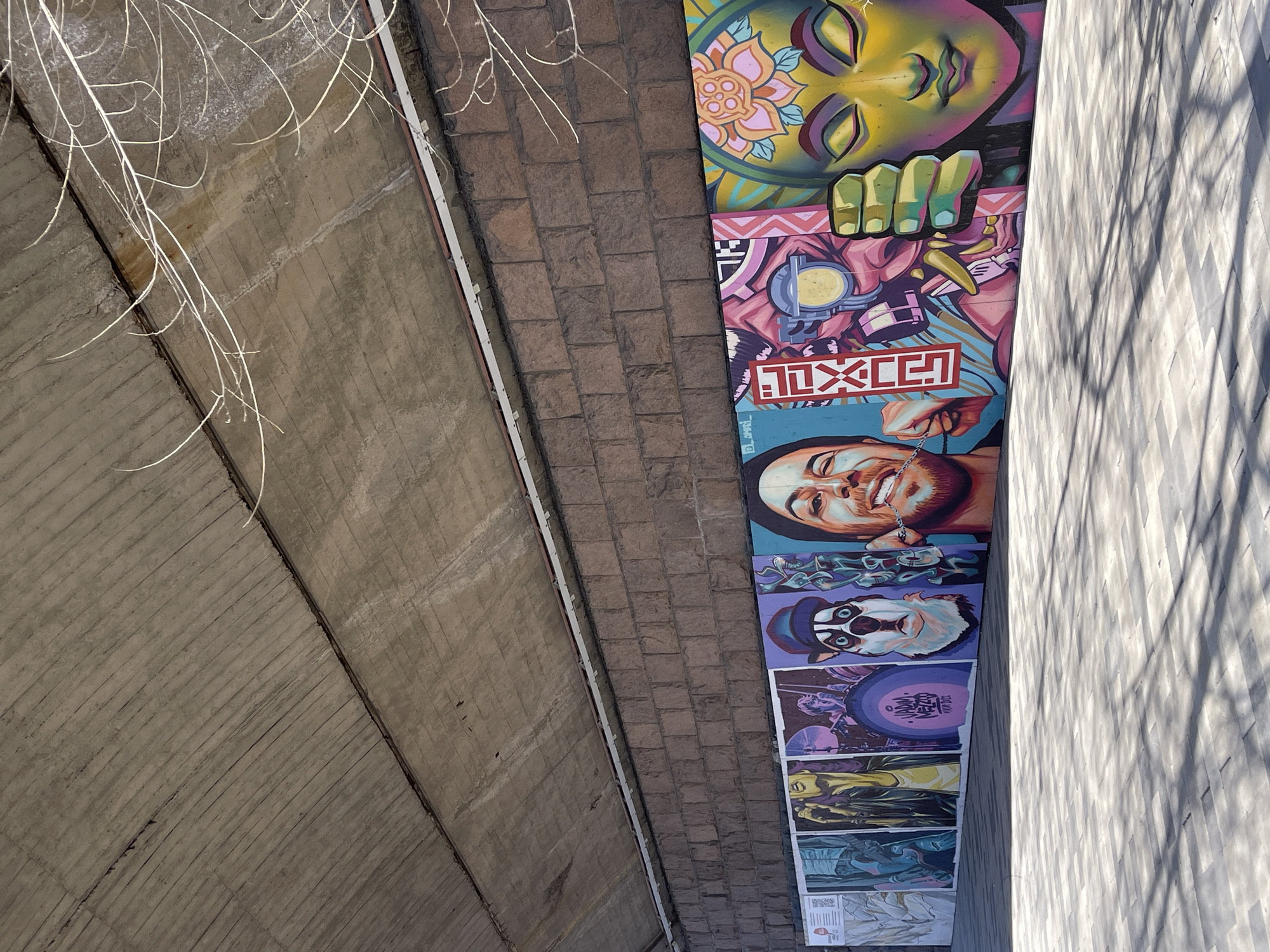The image displays a vibrant mural and architectural elements of an urban underpass or similar structure, captured from a low, upward diagonal perspective. The scene is brightly lit by sunshine, casting sharp, diagonal shadows on the right-hand wall.
The central focus is a multi-panel mural spanning vertically down a wall. The topmost section features a colorful, stylized face, possibly a deity or spirit, with closed eyes, vibrant skin tones of yellow and purple, and a pink floral emblem on its forehead. Below this, green hands extend downwards, seemingly supporting the next panel. This segment is an abstract composition incorporating geometric shapes, mechanical elements like a wrench-head, and the Hebrew word "נוצר" (notzar), meaning "created" or "made," rendered in red block letters.
Further down, the mural transitions to a realistic portrait of a smiling man with a beard and a silver chain. Below him is a quirky depiction of a raccoon-like animal wearing a dark hat, resembling a clown or jester. The mural continues with several smaller, vertically stacked prints or posters featuring diverse artistic styles, from abstract designs to figurative scenes in various color palettes. The bottom-most visible print includes a QR code and some small, indistinct text.
To the left of the mural, a textured brick wall section is visible, above which a smooth concrete surface forms the ceiling of the structure. A thin white metal strip runs along the edge where the concrete meets the brick. From the upper left, several delicate, wispy white vines or branches hang downwards, partially obscuring the concrete ceiling. On the far right, a light-colored wall exhibits prominent, angular shadows, indicating a sunny time of day.