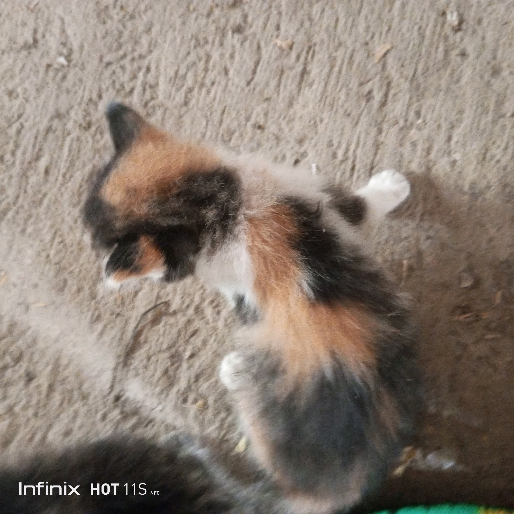 A calico kitten is lying on a textured, sandy surface, possibly in an outdoor area. The kitten's fur is a mix of black, white, and orange patches. Its head is turned away from the camera, and one of its white paws is visible. The background is out of focus but appears to be a dusty or sandy ground with some subtle textures. The bottom left of the image displays the text "Infinix HOT 11S NFC." This scene is located in Sukaslamet, Indonesia.