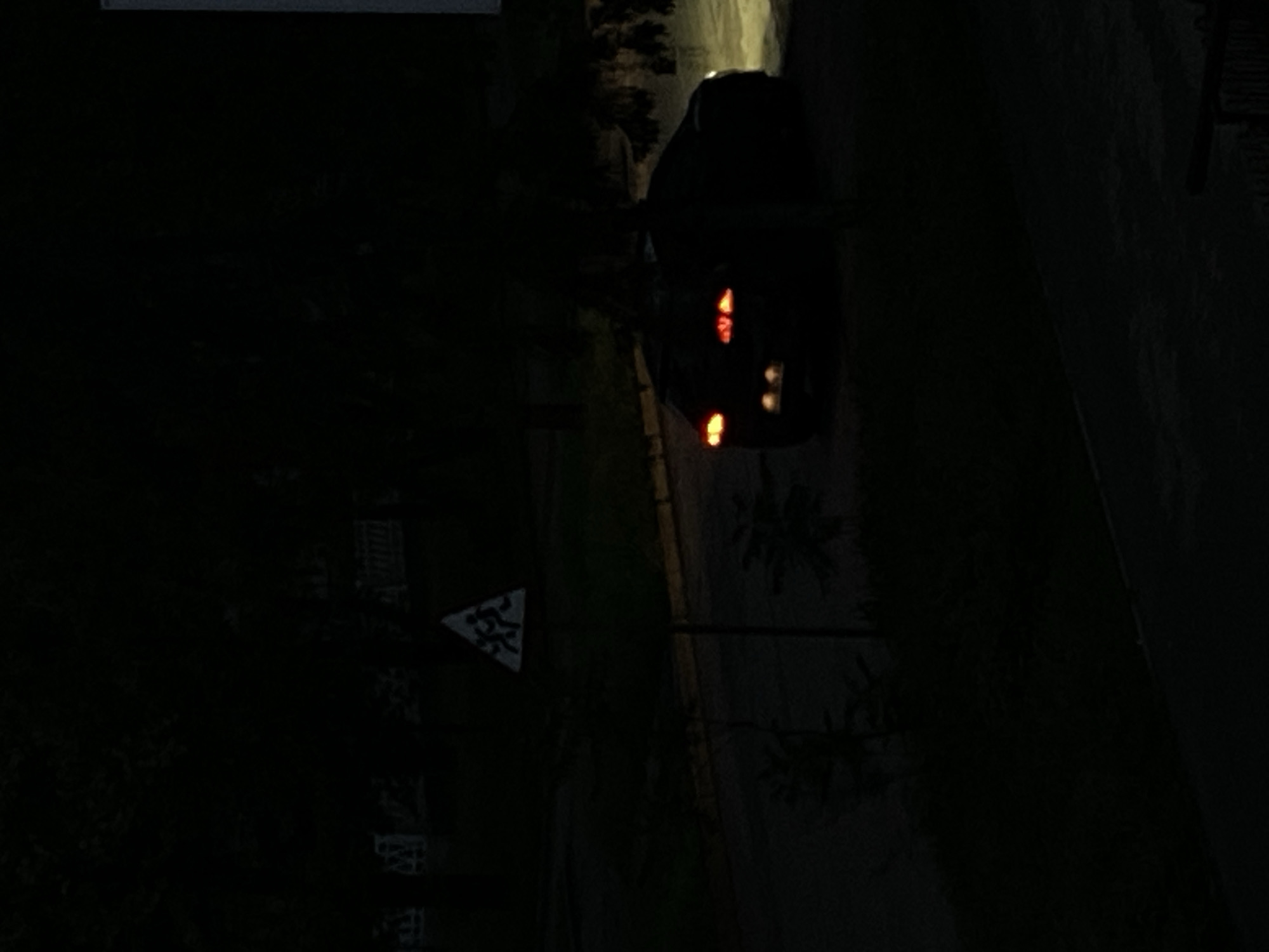 A dark, slightly rotated image shows a street at night. A black car with illuminated tail lights is parked on the side of the road. A pedestrian crossing sign is visible on a pole near the left side of the image. The street is surrounded by dark trees and grass. The location is a street within the city of Unknown.