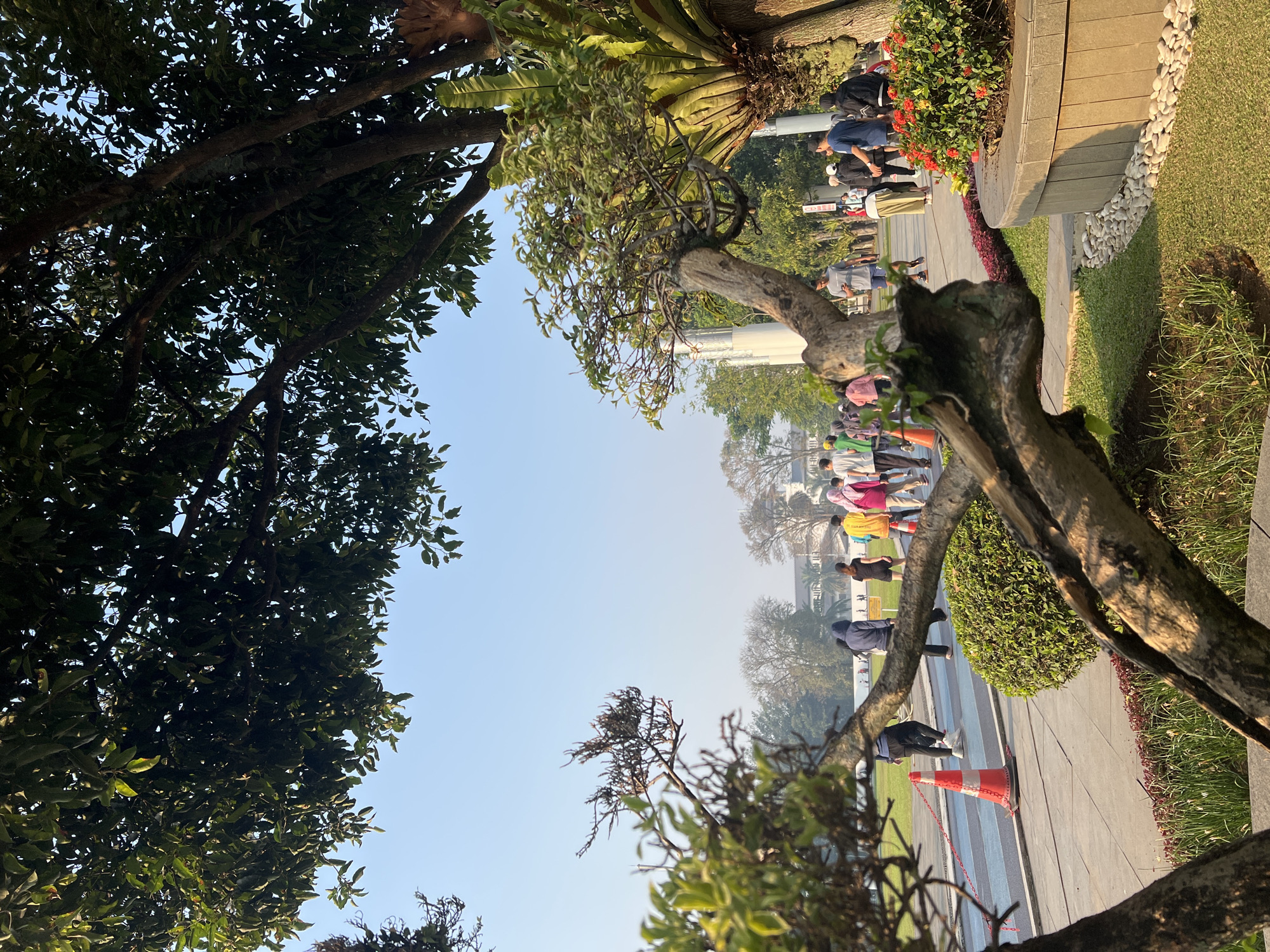 A wide shot of a park in Bandung City, Indonesia, shows a group of people walking on a paved path under a clear blue sky. Trees with lush green leaves canopy the scene, with some bare branches reaching towards the sky. In the foreground, a twisted tree trunk with small green leaves is visible, along with a neatly trimmed green bush and a flower bed filled with red and yellow flowers. A large bird's nest fern is attached to one of the trees. Several people, dressed in casual wear, are walking or standing on the path. Some are wearing masks. An orange traffic cone with white stripes is placed on the path. In the background, several buildings, including a white structure with columns, can be seen amongst more trees. The sun is casting a warm glow on the scene.