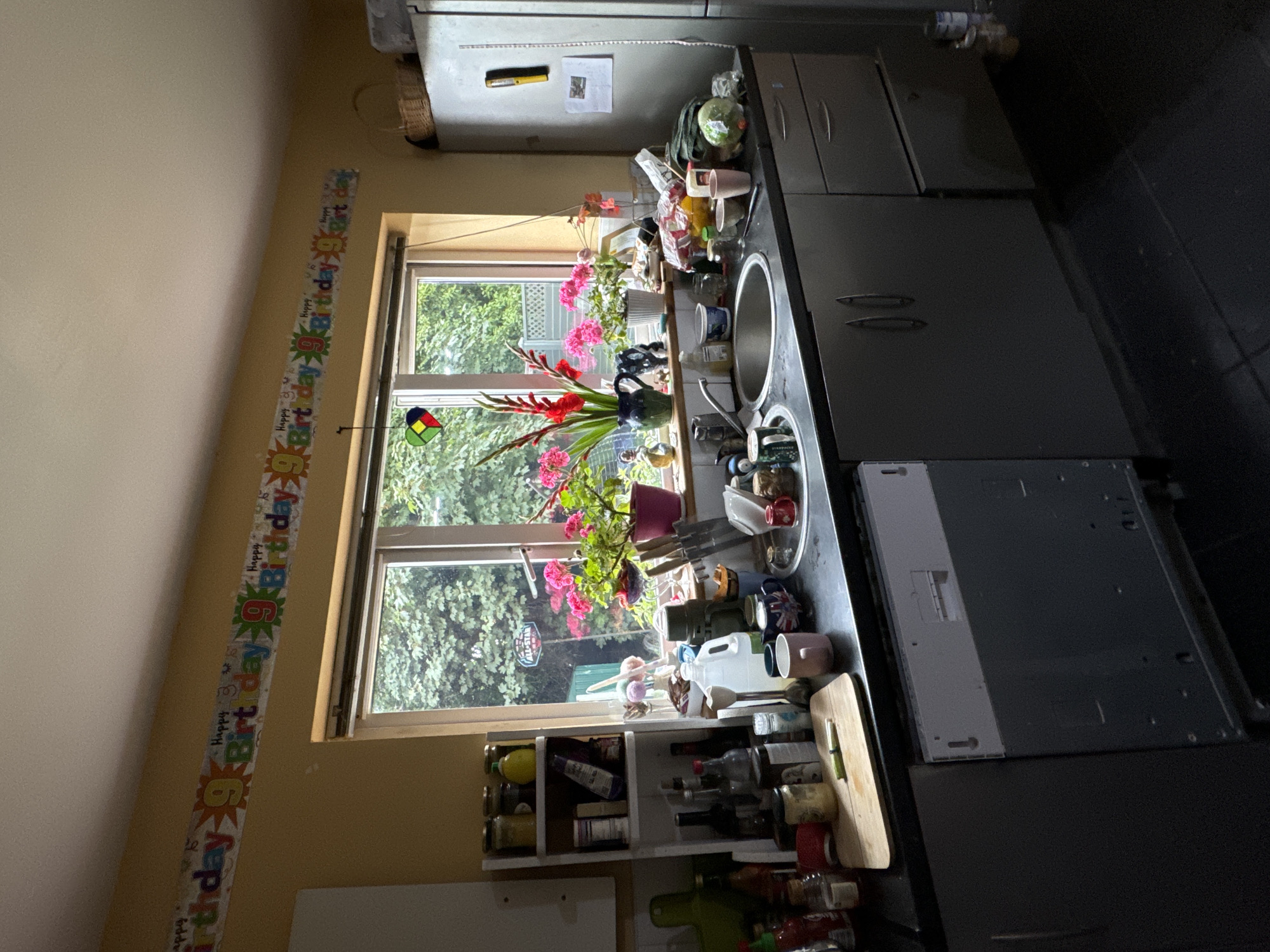 The image depicts a domestic kitchen with a window overlooking greenery. A "Happy Birthday 9" banner is taped to the wall above the window. The kitchen counter is cluttered with various items including plants, flowers in vases, jars, bottles, cups, a cutting board with a knife, a blender, a dishwasher, and a refrigerator. The overall impression is one of a lived-in, somewhat untidy space.
While the image provides details of a kitchen interior, it does not contain any information or visual cues that would allow for the identification of the city of Waterford, Ireland, or any specific location within it. The scene is generic and could be found in many residential kitchens.