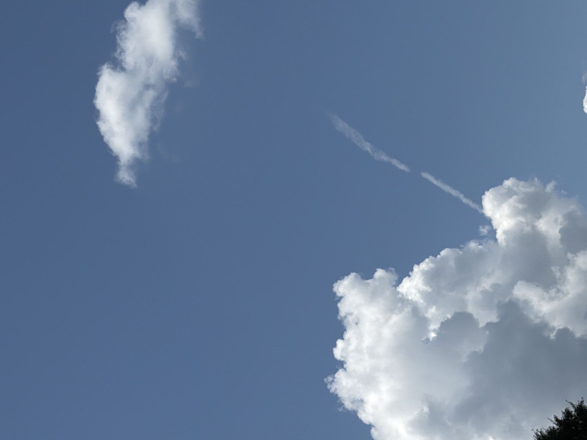 The image shows a clear blue sky with several white clouds. In the lower left corner, there is a large, puffy cloud that takes up a significant portion of the frame. To the right of this cloud, a thin, white contrail stretches diagonally across the sky, originating from the upper right and extending downwards. In the upper right quadrant, there is a smaller, wispy cloud. The bottom of the frame shows the tops of some dark green trees, suggesting an outdoor scene. The image is a photograph taken outdoors in Wellford, United States of America.