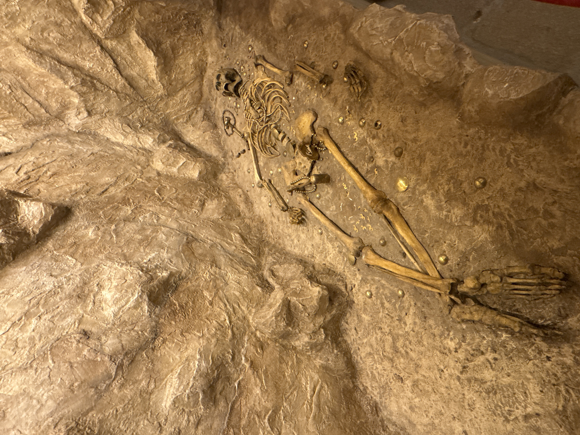 The image depicts an unearthed skeleton, believed to be discovered in Skobelevo, Bulgaria. The skeletal remains are positioned within a matrix of rock or compacted earth, possibly the site of burial. The skeleton is mostly complete, showing the skull, ribcage, and limb bones. Artifacts, possibly gold embellishments, are positioned around the skeleton. The surrounding geological material is a light brown or beige color, showing a textured surface.