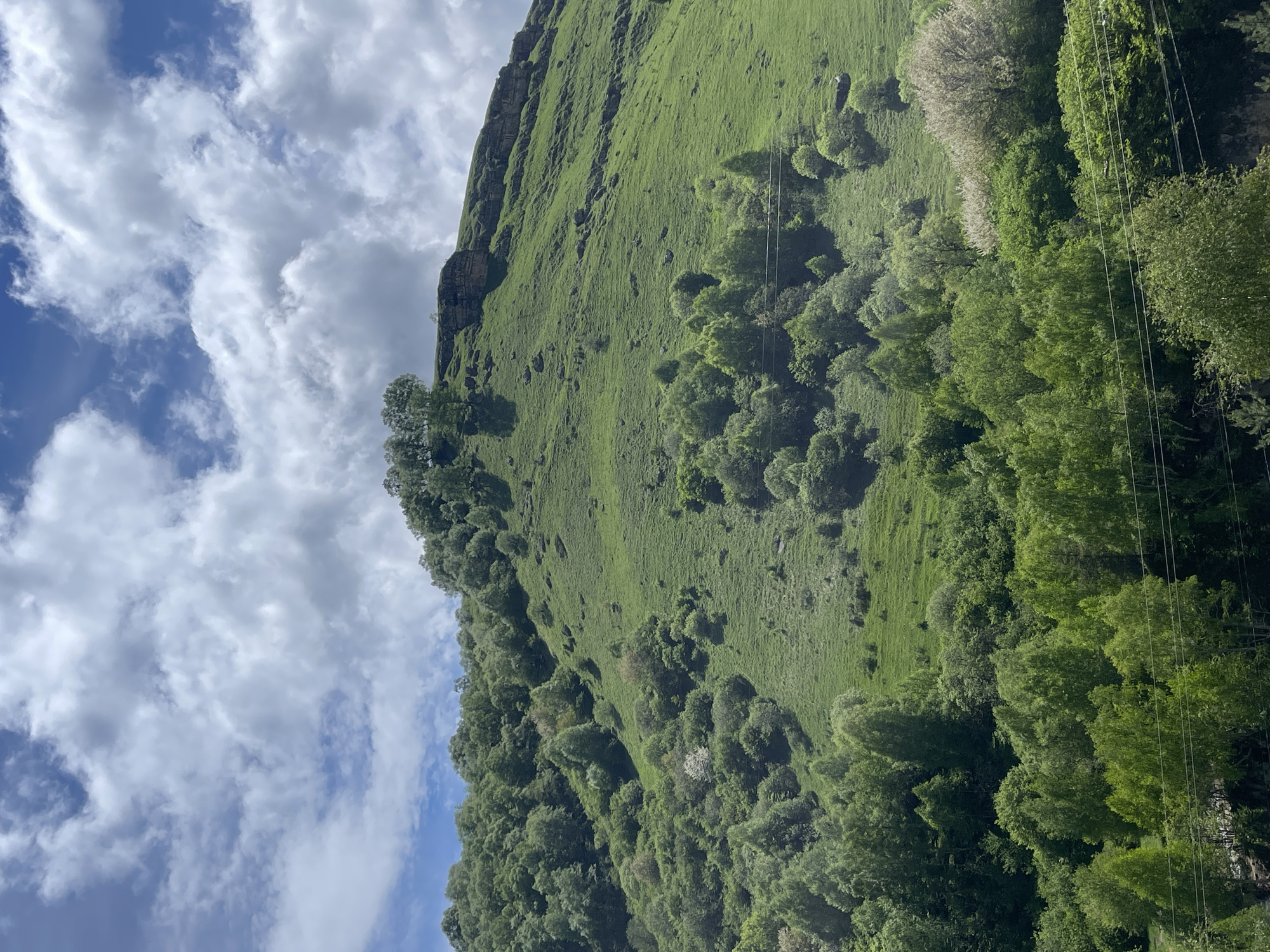 The image shows a green hillside in an outdoor setting under a sky with scattered clouds. The hillside is covered with lush green grass and dotted with trees and shrubs. A rocky outcrop is visible on the upper part of the hill. A line of trees extends along the base of the hill. The location is Красный Курган, Russia. Power lines are visible in the foreground.