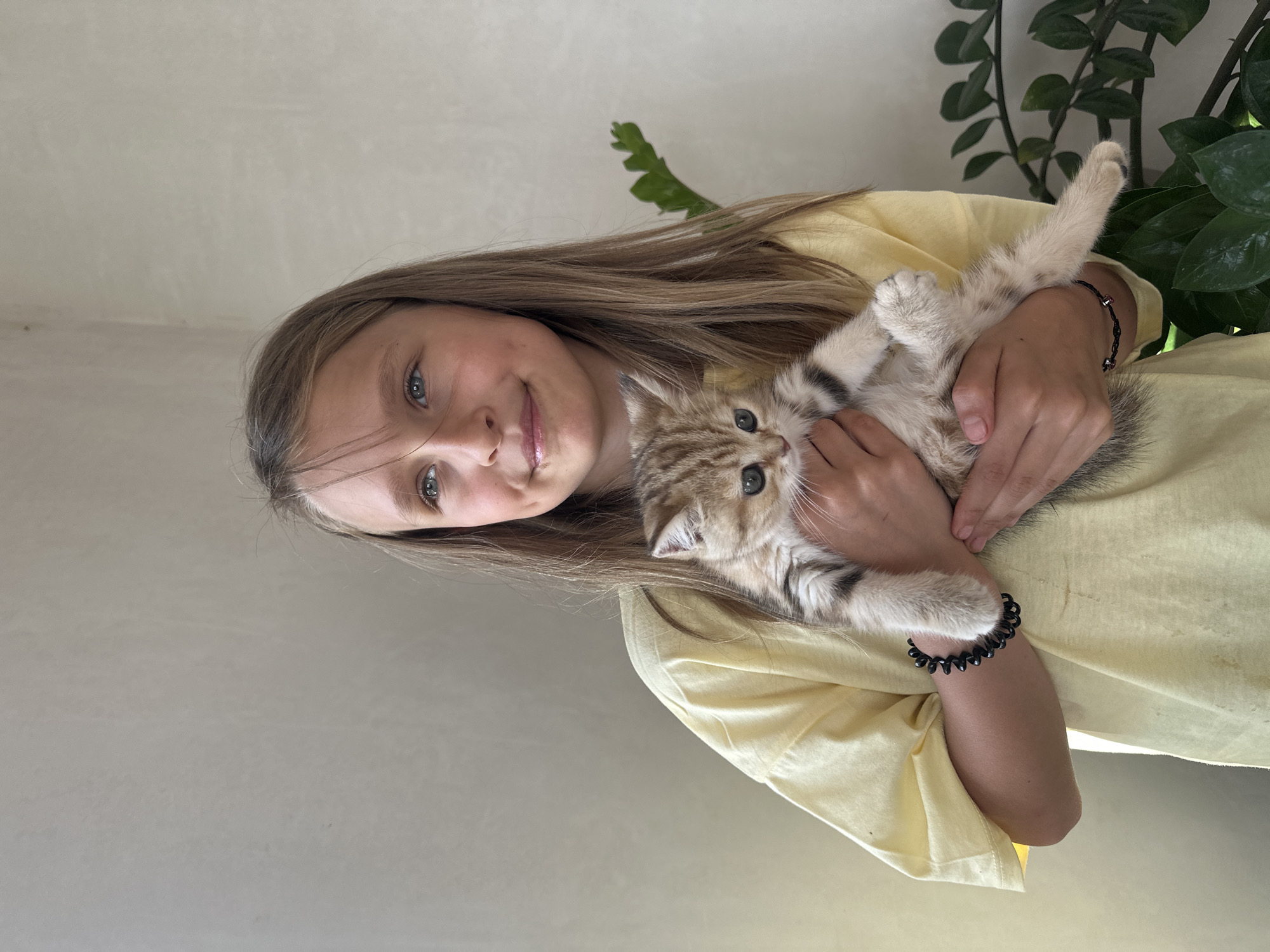 A young girl with long blonde hair is holding a small kitten. The girl is wearing a yellow t-shirt and a black spiral bracelet on her left wrist. The kitten is light brown with darker stripes. They are standing in front of a plain, textured wall. A green plant is visible to the right of the girl. The scene is well-lit, suggesting it is daytime. The overall atmosphere appears calm and domestic.