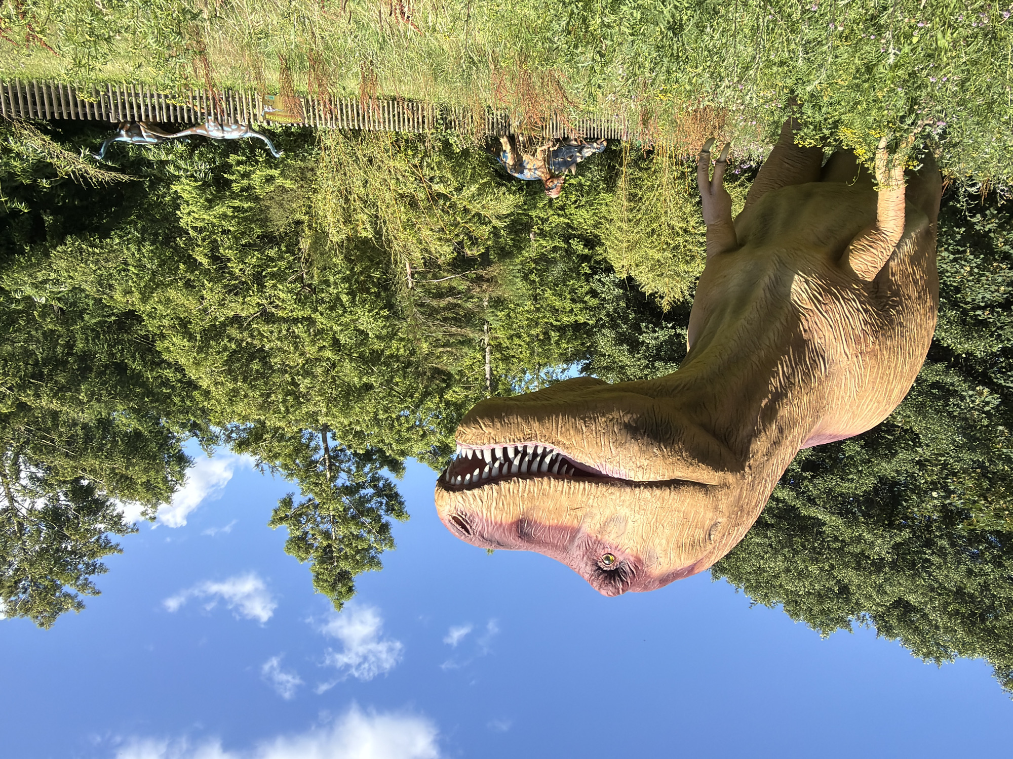 This media file captures an outdoor scene, likely at a dinosaur park or museum, with a focus on dinosaur models and natural surroundings. In the foreground, a large, realistic model of a Tyrannosaurus Rex's head is prominently displayed, its mouth open to reveal sharp teeth and its eye visible. The model has a textured, brown and pinkish-tan skin. The background features a dense green forest, with tall trees and lush vegetation. A wooden fence runs horizontally across the upper portion of the image. Beyond the fence, other dinosaur models are visible, including what appears to be a silver, bipedal dinosaur and another, more subdued model of a dinosaur or prehistoric creature. The sky is a clear blue with scattered white clouds, suggesting fair weather and daytime. The image is oriented sideways. One crop shows a portion of a sign with yellow text, though the text itself is not clearly legible. The overall impression is of an exhibit designed to recreate a prehistoric environment for visitors.