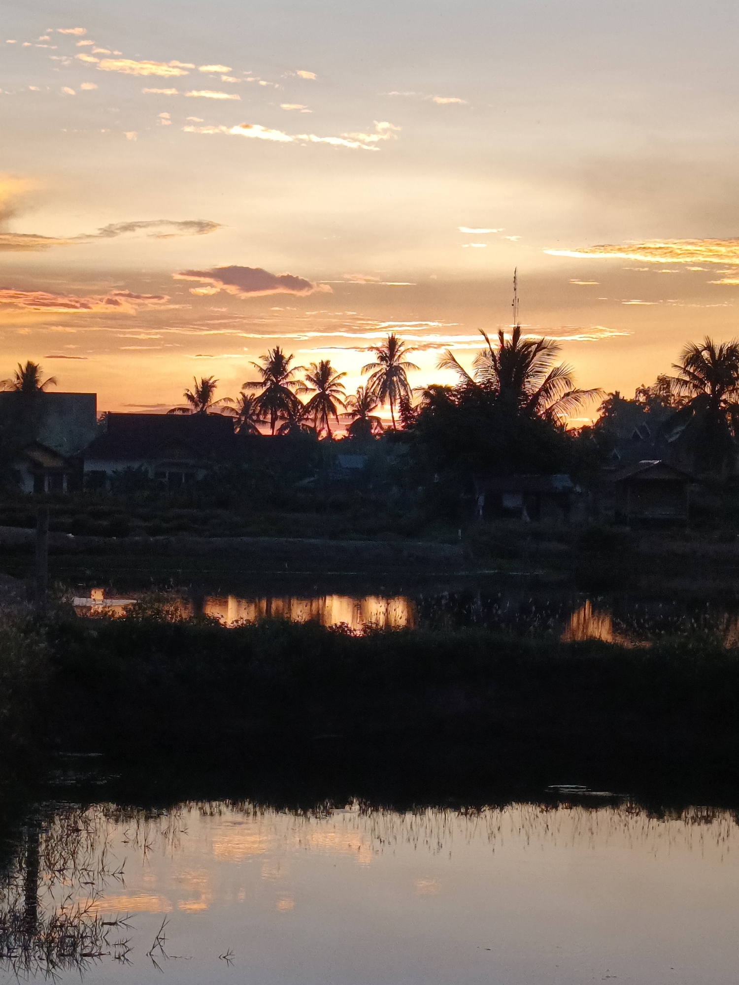 This image captures a serene sunset scene in Sangso, Indonesia. The sky is ablaze with warm hues of orange, yellow, and pink, painted with soft, wispy clouds. Silhouetted against this vibrant backdrop are several tall palm trees, their fronds reaching upwards, and the rooftops of a few houses. The lower half of the image is dominated by the calm reflection of the sky and the land in a body of water.
The scene appears to be a rural or semi-rural setting, given the presence of houses, vegetation, and what looks like agricultural fields or a pond. The time of day is clearly sunset, as indicated by the dramatic colors in the sky and the long shadows cast by the objects. The weather appears to be clear, with the clouds contributing to the beautiful sunset display.
The overall mood of the image is tranquil and peaceful. The reflections in the water add to the sense of stillness and beauty. There are no people or explicit objects of activity visible, suggesting a moment of quiet observation of nature's spectacle. The location cues point to Sangso, Indonesia, suggesting a tropical or subtropical environment, which is consistent with the presence of palm trees. No text is visible in the image.