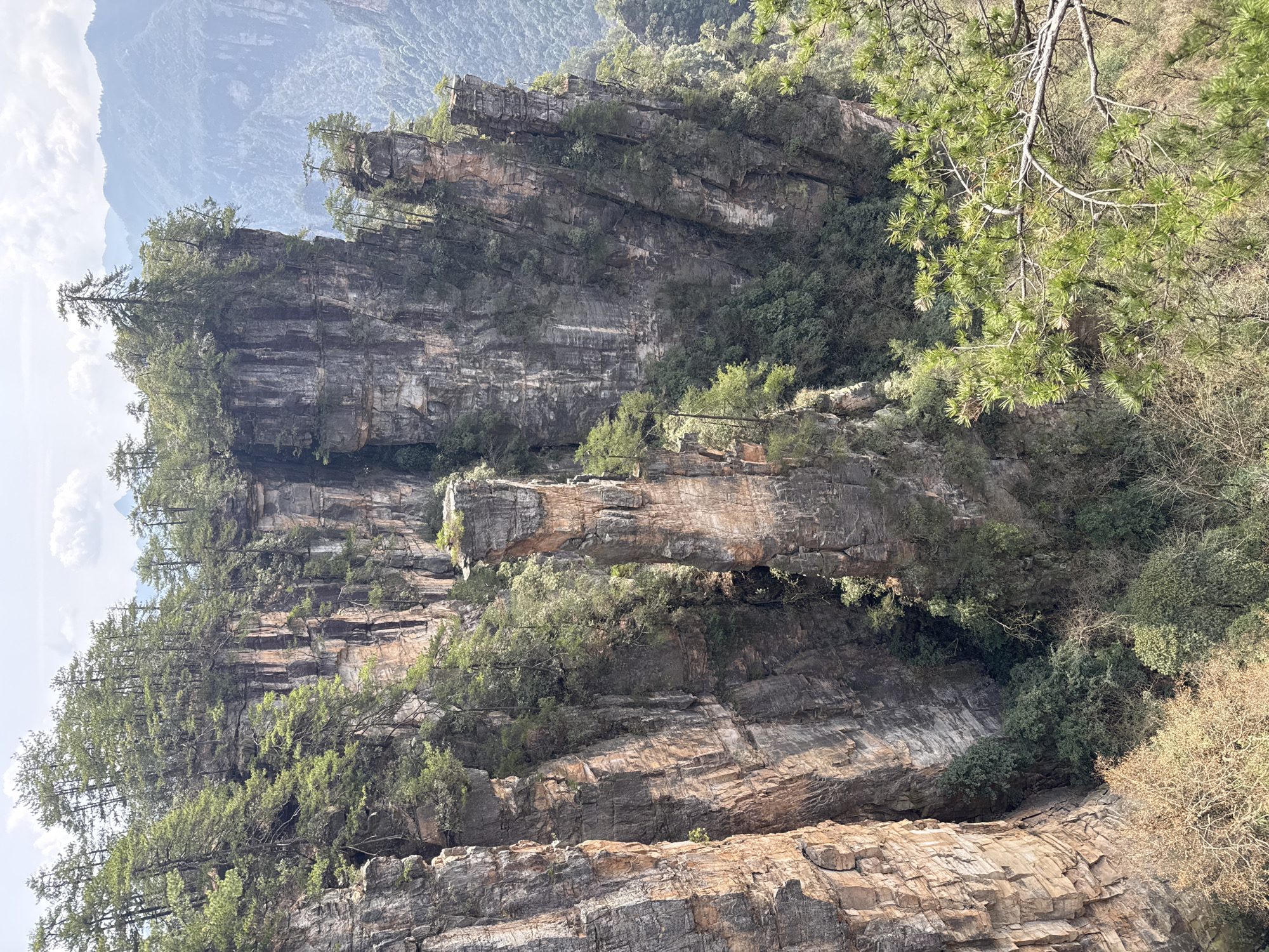The image depicts a natural landscape within the Wulingyuan scenic area in Wulingyuan District, Zhangjiajie, Hunan Province, China. The scene is dominated by numerous tall, vertical sandstone pillars and sheer cliff faces, characteristic of the Wulingyuan geological formations. These rock structures exhibit stratified layering and vary in color from dark grey and brown to reddish-brown, indicative of mineral composition and weathering.
Dense green vegetation, primarily evergreen trees resembling pines, grows atop the flat summits of many pillars and along their ledges and crevices. Smaller trees and shrubs populate the slopes and ravines between the larger formations. In the foreground, foliage from similar evergreen trees is visible, partially obscuring the view downwards into a deeply vegetated gorge.
The sky is partly cloudy with patches of blue visible, and a soft haze obscures the details of more distant mountain ranges, rendering them in lighter shades of blue and grey. Natural daylight illuminates the scene, casting distinct shadows on the western-facing sides of the pillars, suggesting a morning or late afternoon sun angle. No human subjects, structures, or artificial objects are present in the visible area. The perspective indicates a view from an elevated vantage point looking across and down into the geological park.
