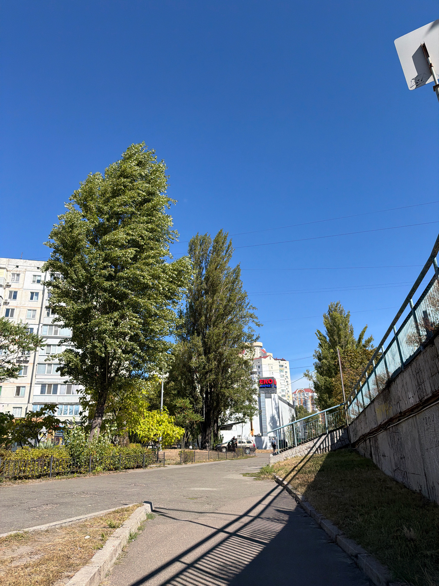 The image depicts a street scene in Kyiv, Ukraine, characterized by a bright, clear blue sky and sunlight casting shadows. On the left side of the frame, a tall, leafy green tree stands prominently in front of a multi-story apartment building. The building features numerous windows and air conditioning units, typical of Soviet-era architecture. Adjacent to the apartment building is a commercial establishment with a prominent red and white sign that reads "EKO MARKET".
To the right, a sloping concrete embankment is visible, topped with a metal fence. The embankment is covered in grass and appears to be part of a road or walkway elevated above the street level. The street itself is asphalted, with a distinct shadow pattern from the fence falling across it, indicating the direction of the sun. A sidewalk with a concrete curb runs along the bottom edge of the image.
Several other trees with varying shades of green and yellow foliage are scattered throughout the scene, suggesting it is likely late summer or early autumn. A few vehicles are parked or driving on the street in the background, and a person can be seen walking on the elevated walkway. The overall impression is a typical urban environment with elements of residential buildings, commercial spaces, and green infrastructure under a sunny sky.