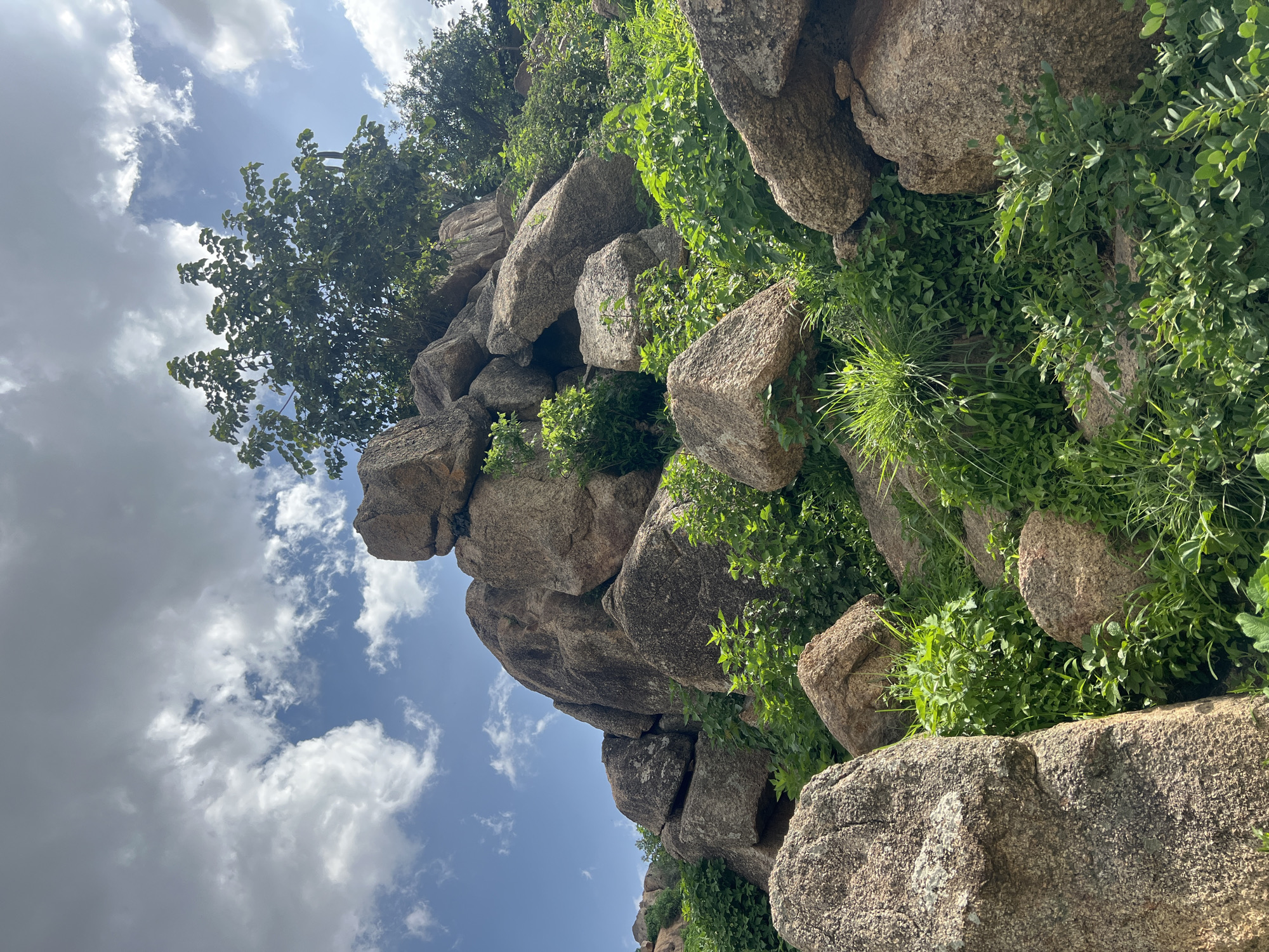 The image shows a rocky hillside covered in lush green vegetation under a partly cloudy blue sky. Large, weathered boulders are scattered across the slope, with smaller rocks and a variety of plants, including grasses and bushes, growing between them. A mature tree with dense foliage is visible at the top of the hill. The scene appears to be a natural outdoor environment, possibly a scenic overlook or a rural landscape. The location is specified as Kabong, Nigeria.