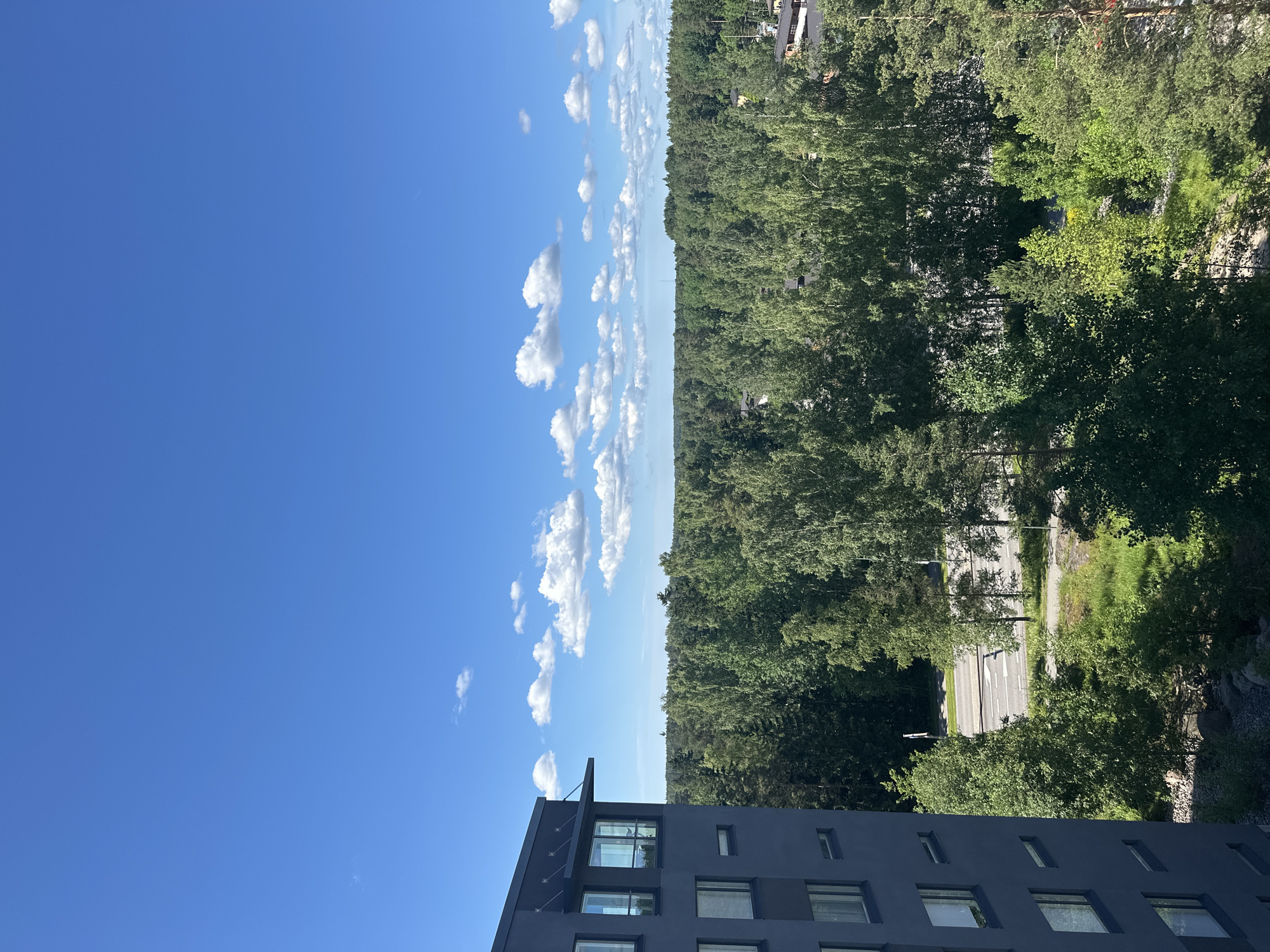 A high-angle, eye-level outdoor shot captures a panoramic view of a dense forest under a clear blue sky with scattered white clouds. In the foreground, the left side of a dark gray apartment building occupies the left third of the frame. The building features multiple windows and a dark overhang above some of them. Beyond the building, a road with white lane markings is visible, flanked by lush green grass and a variety of trees. The forest extends to the horizon, with some residential buildings peeking through the trees in the distance. The scene is bathed in natural daylight, indicating it was taken during the day.